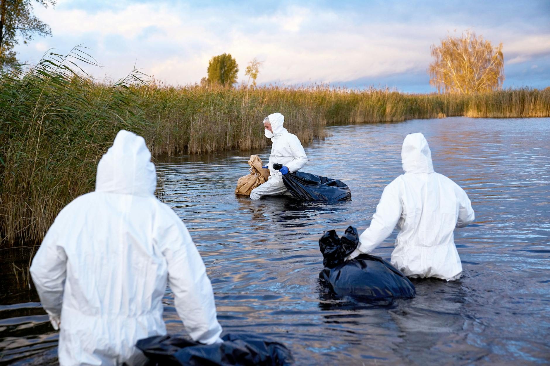 Umweltarbeiter sammeln in Brandenburg Kadaver von Vögeln, die an der Vogelgrippe verendet sind, aus einem See. Die Maßnahme dient der Eindämmung der weiteren Ausbreitung des Virus unter Wildvögeln und anderen Tieren.