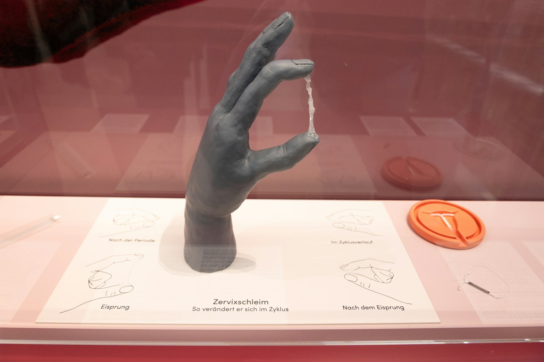 Zervixschleim – der weibliche Körper galt früher als besonders schleimhaltig.