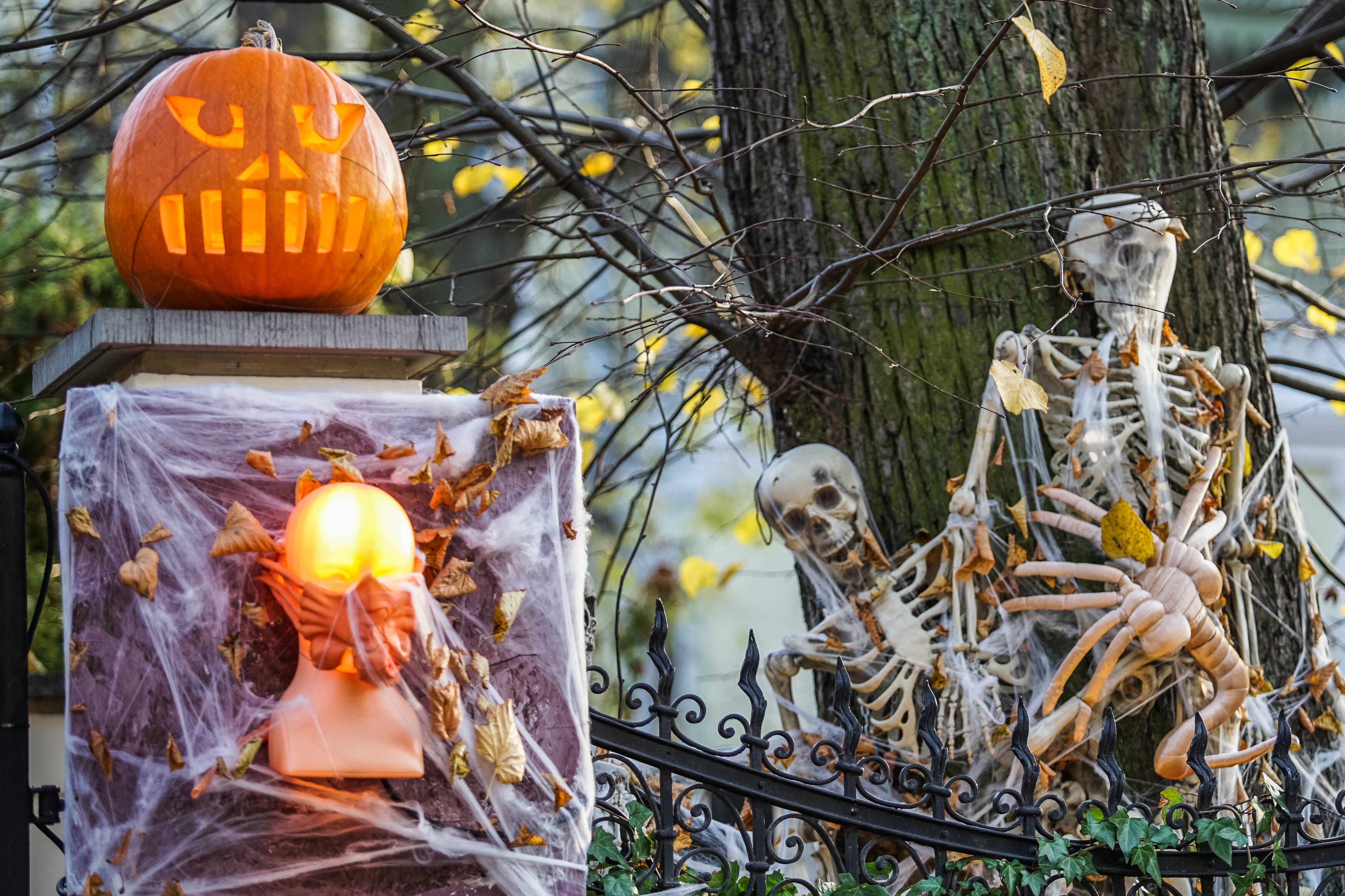 Stürmischer Donnerstag – zu Halloween gibt’s dann schönes Herbstwetter