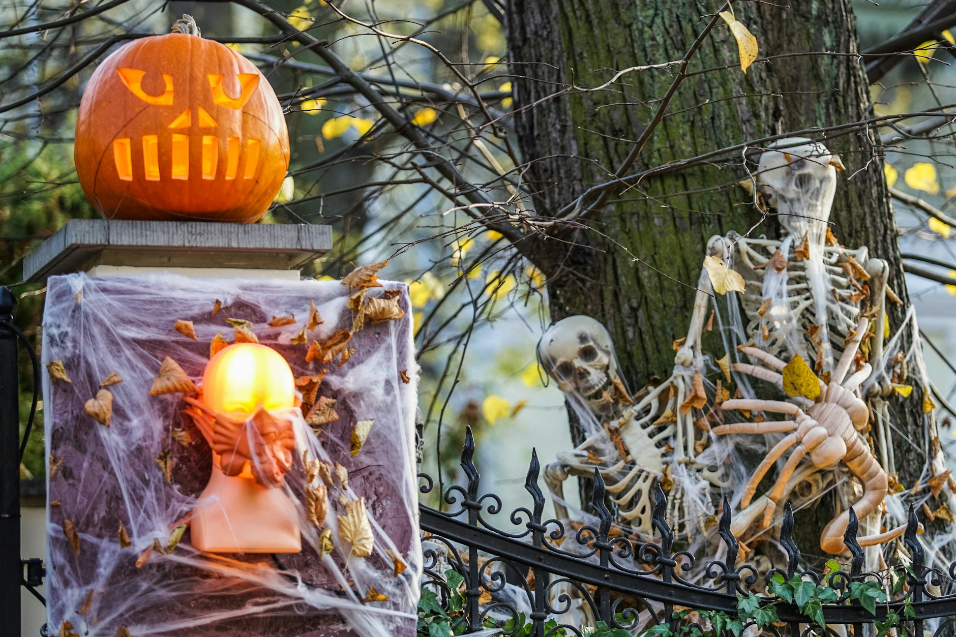 Halloween wird dieses Jahr in Berlin sonnig und mild.