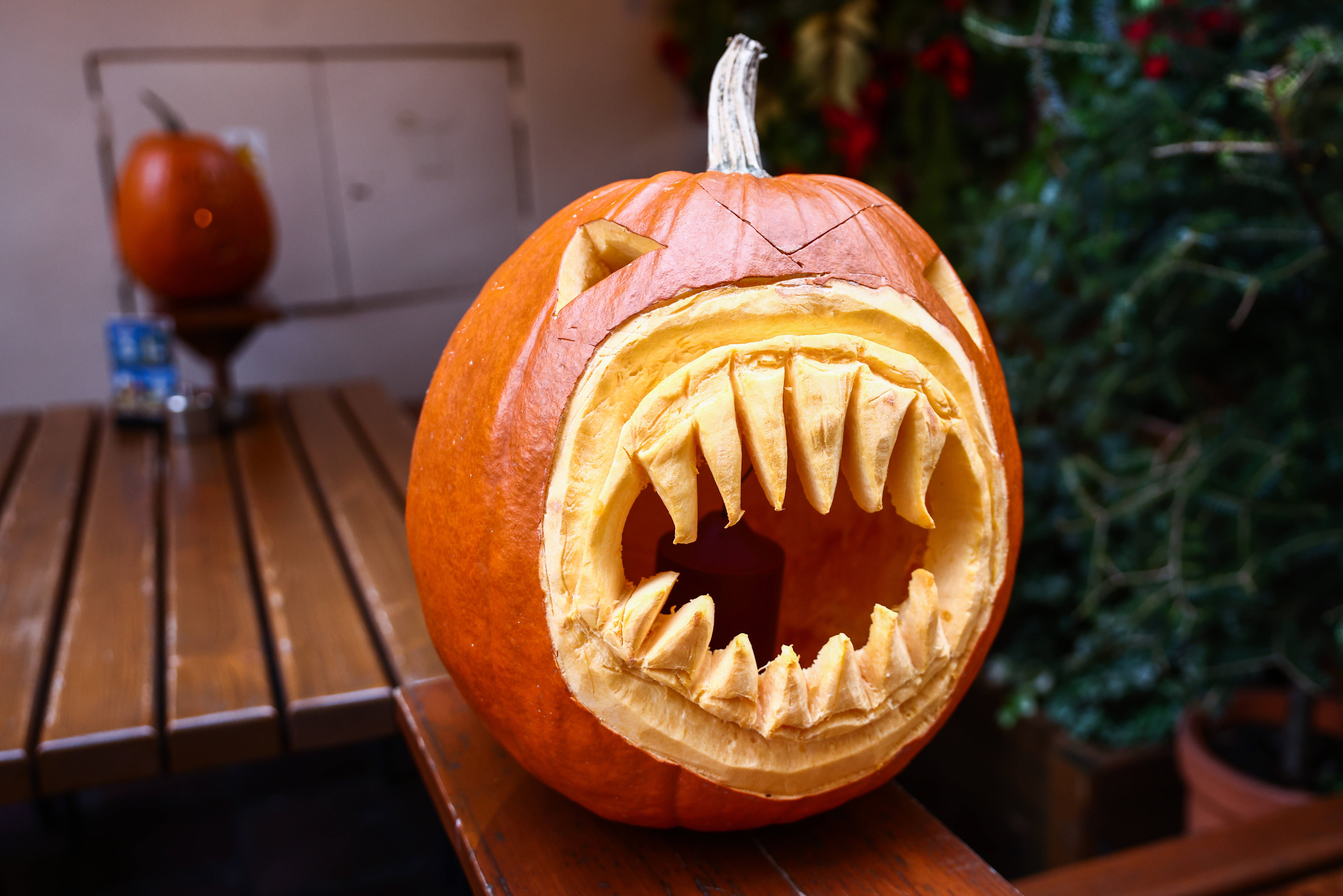 Halloween-Aktion: Kürbis geschenkt für Berliner, die hier Blut spenden!