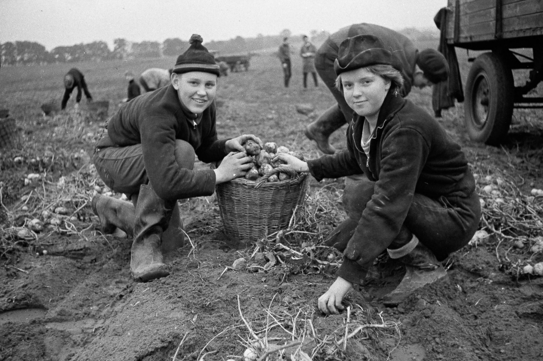 Jugendliche Erntehelfer bei der Kartoffelernte im Jahr 1964. Ob sie den Arbeitseinsatz urst fetzig fanden?
