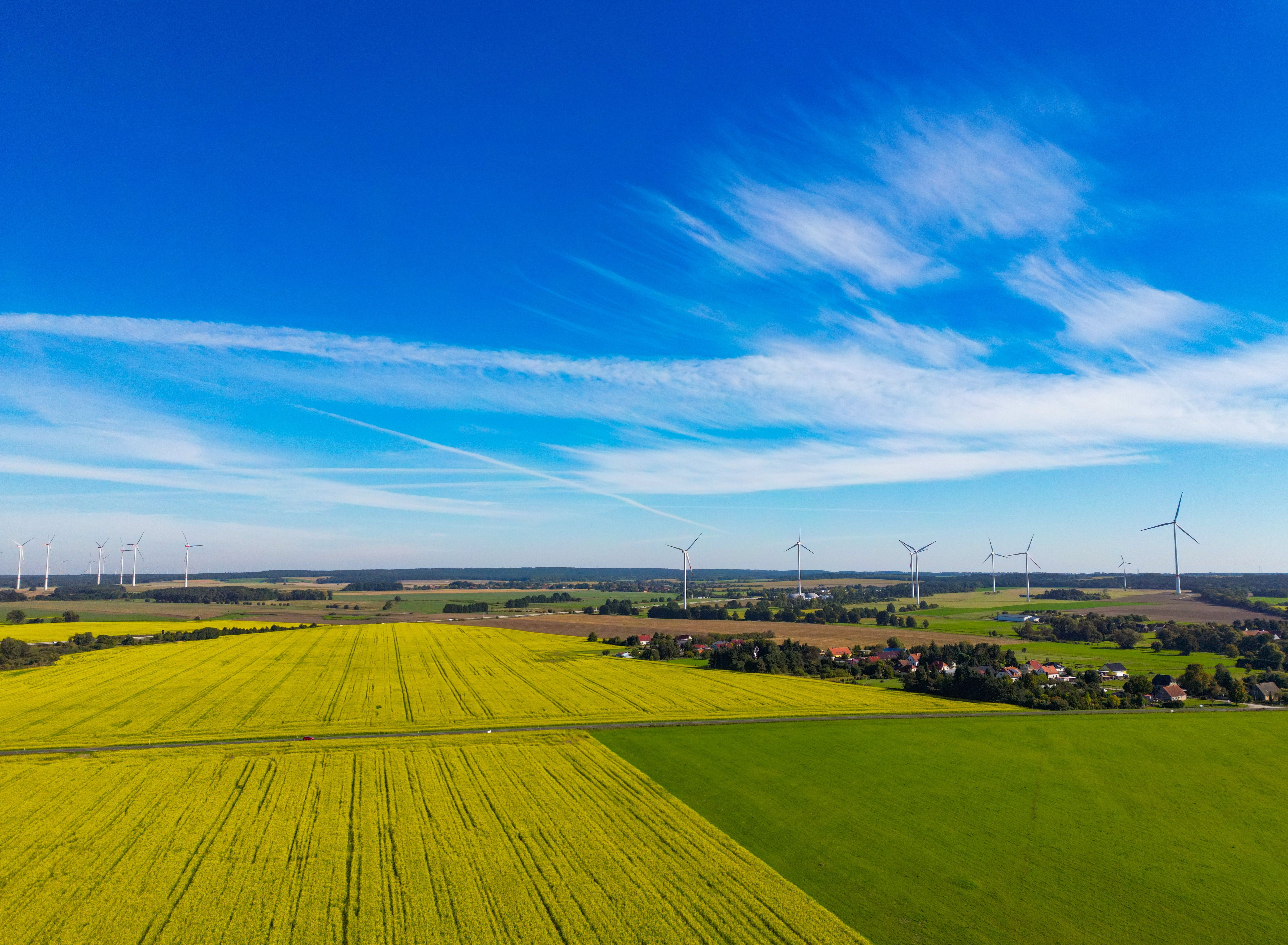 Image - Umfrage: Das halten Ostdeutsche von dem Begriff „neue Bundesländer“
