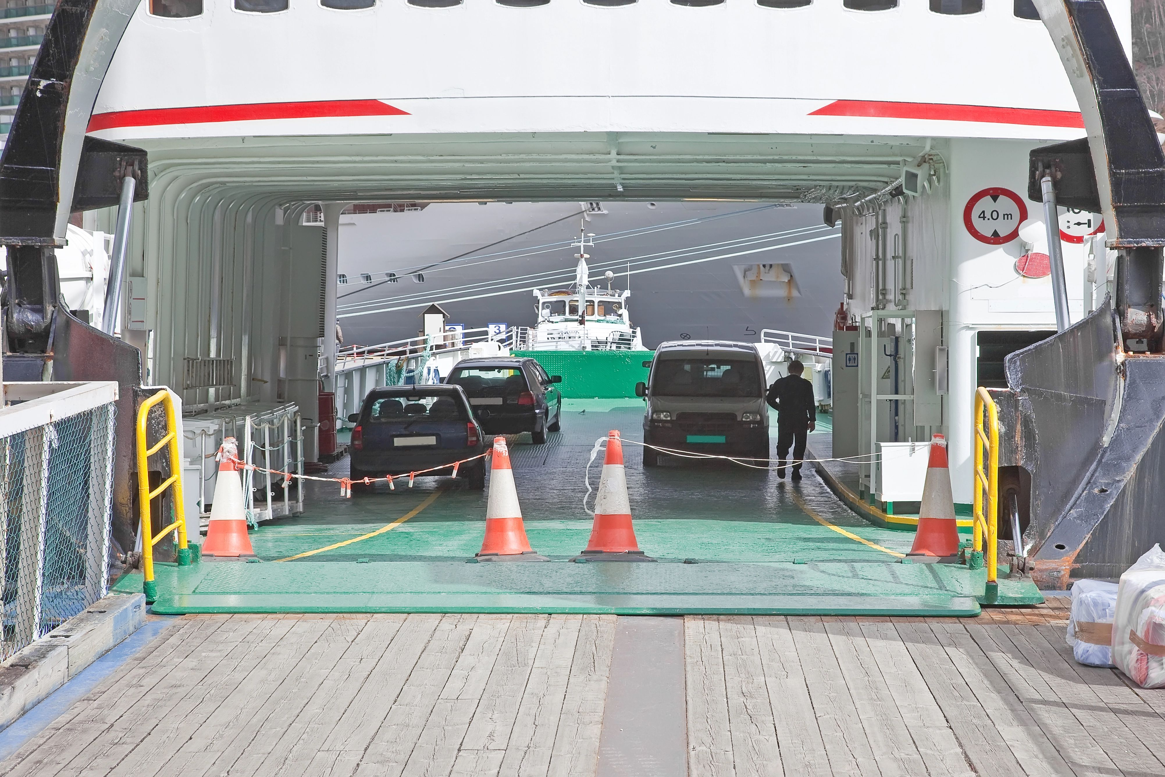 Image - Qualvoller Tod: 27 Hunde sterben auf einer Fähre nach Mallorca