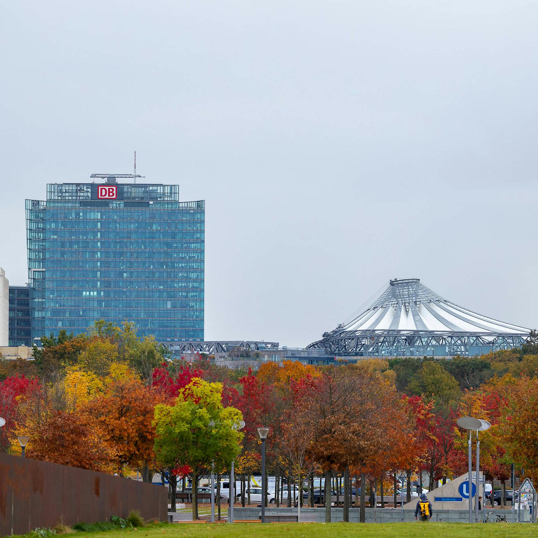 Wird Berlin jetzt zum Urwald? So verändert die Mega-Baumpflanzung unsere Stadt