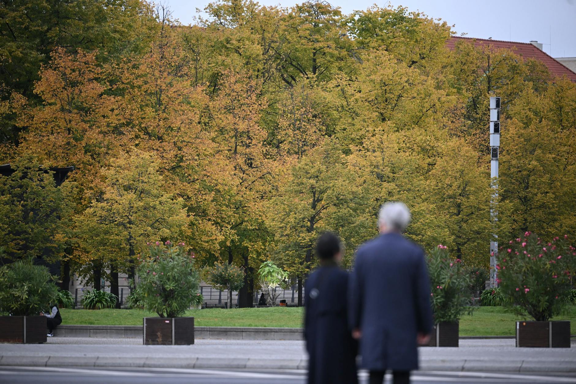 Berlin soll bis 2040 eine Millionen gesunde Stadtbäume haben.