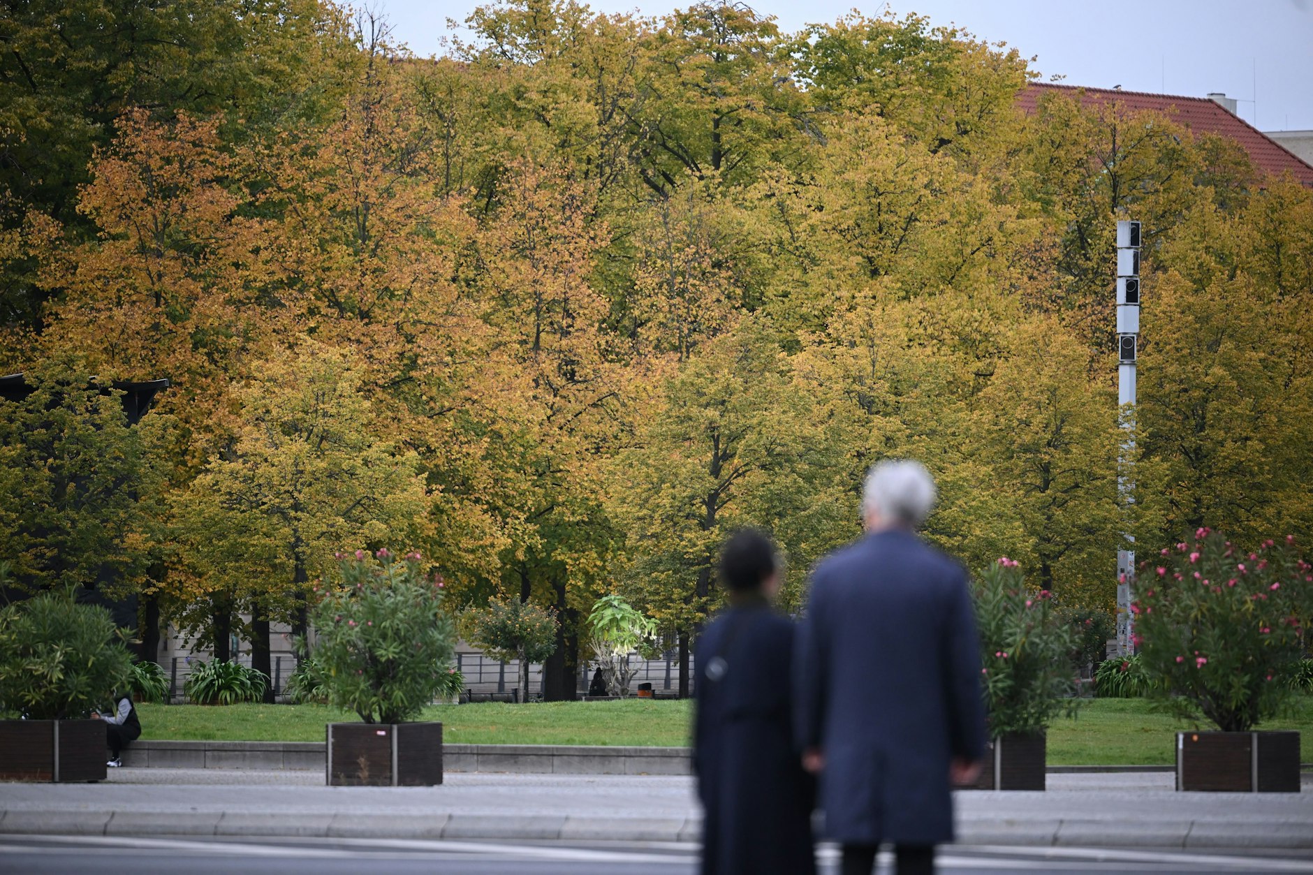 Berlin soll bis 2040 eine Millionen gesunde Stadtbäume haben.