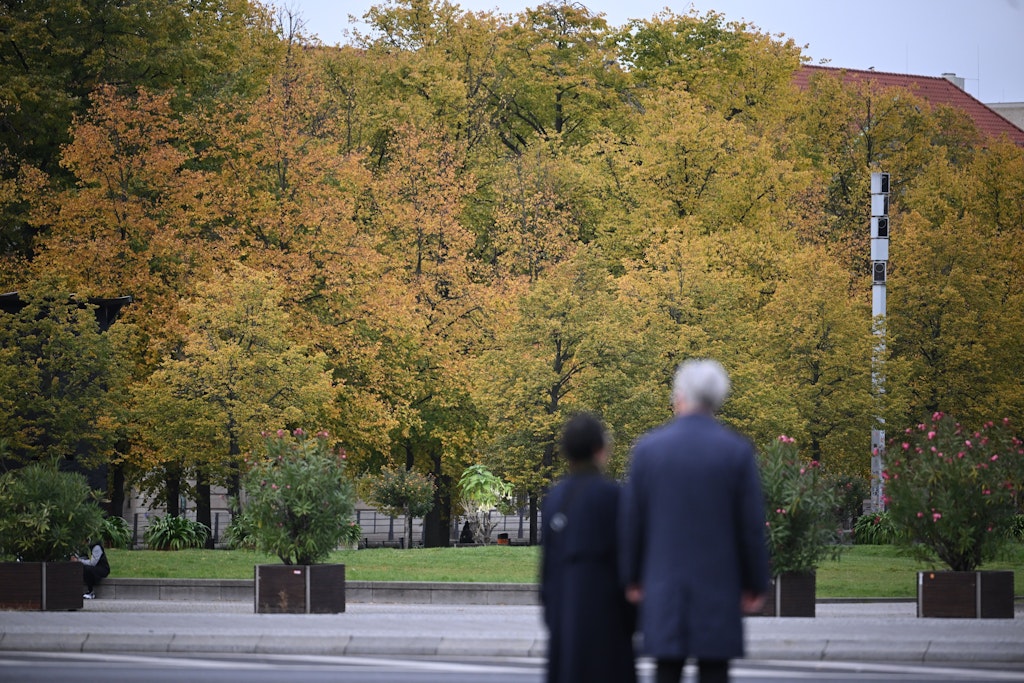 Eine Million Bäume bis 2040: Berliner Abgeordnetenhaus beschließt ...