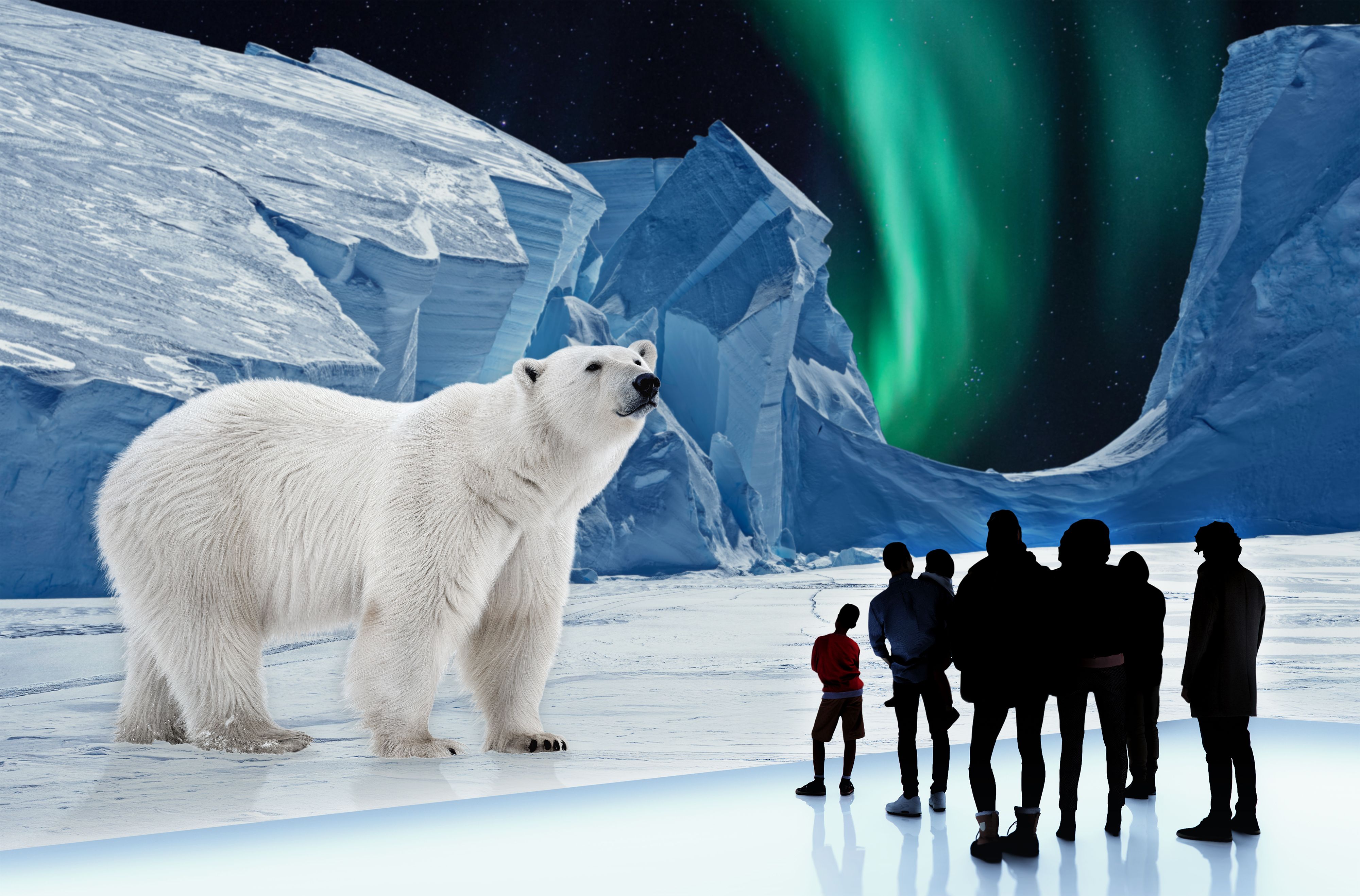 „POLAR EXPERIENCE - Die Immersive Ausstellung über die Arktis und Antarktis“ 6.12.25 - 6.4.26
