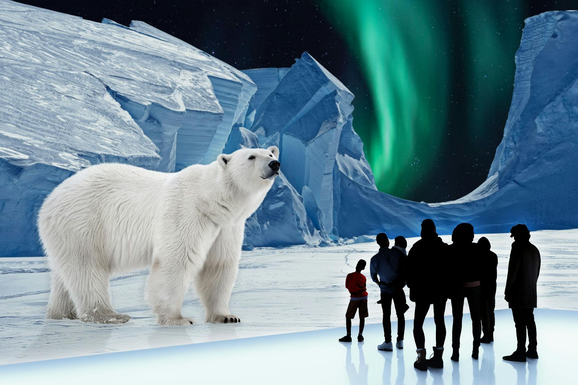 POLAR EXPERIENCE