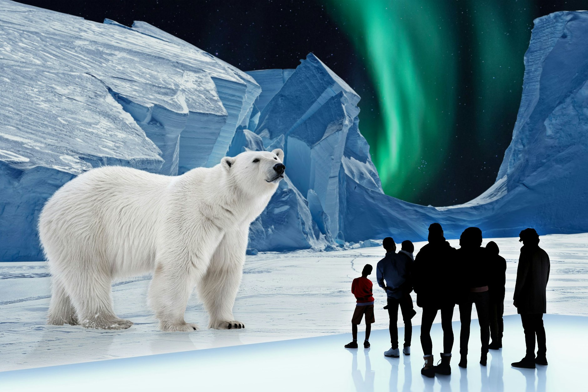 POLAR EXPERIENCE 