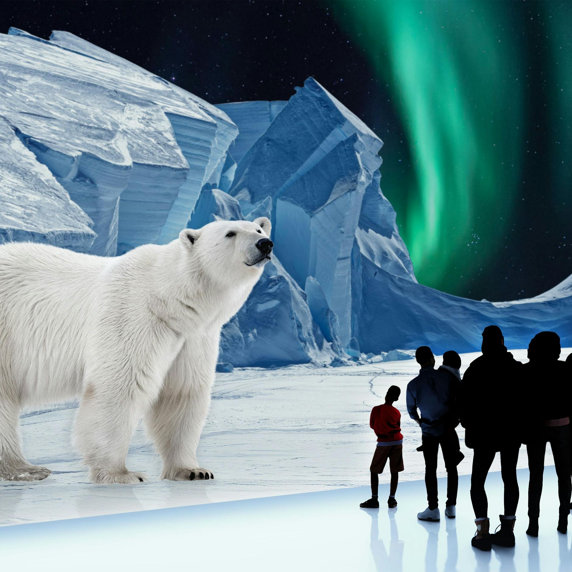 Image - „POLAR EXPERIENCE - Die Immersive Ausstellung über die Arktis und Antarktis“ 6.12.25 - 6.4.26