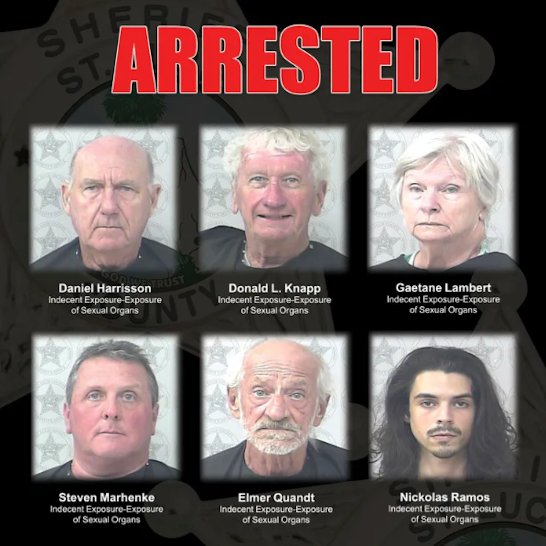 Wegen unangemessener Entblößung und Entblößung von Geschlechtsteilen wurden die sechs Nudisten in Haft genommen.