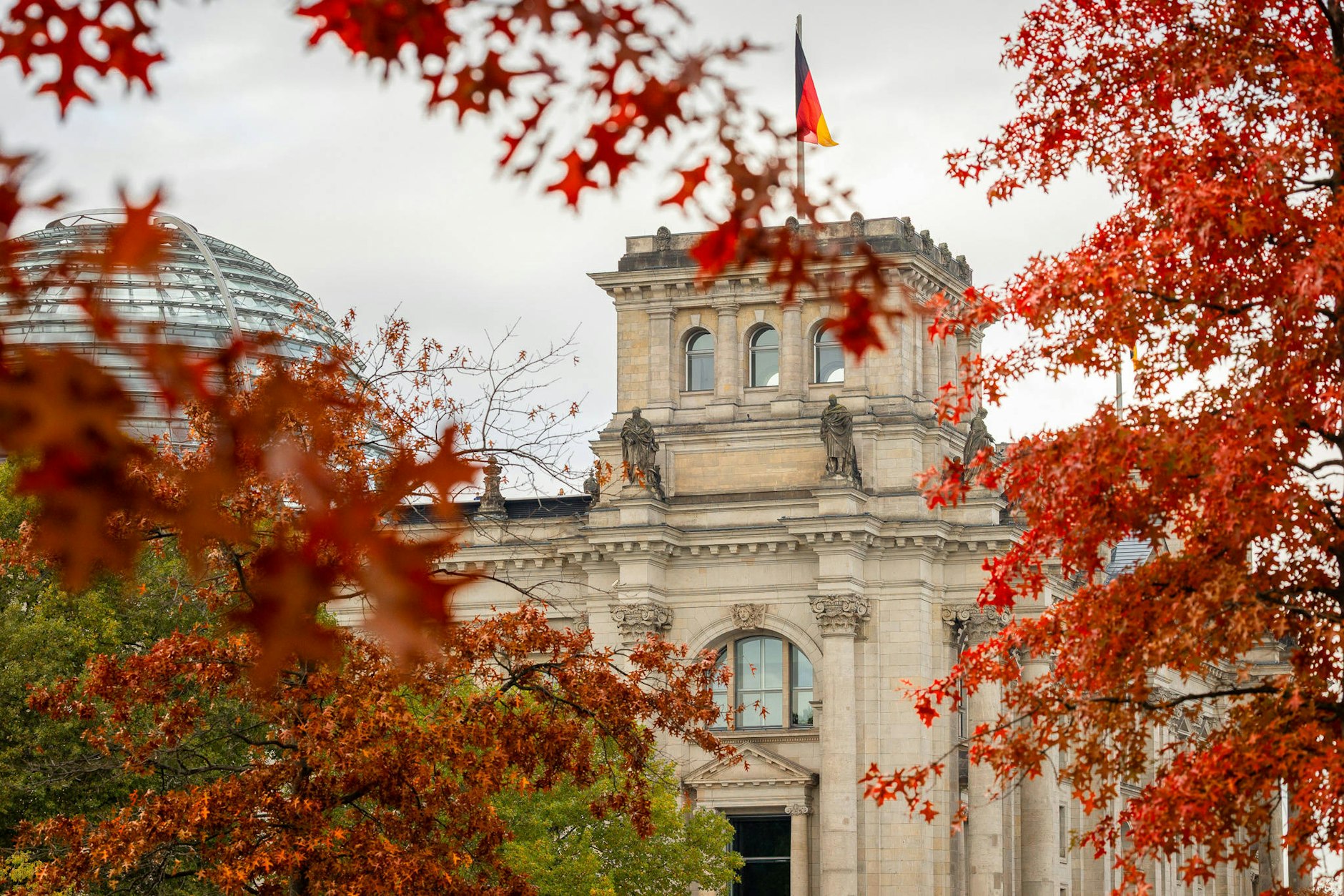 Das Reichstagsgebäude in Berlin, umgeben von hübschem Herbstlaub. In der ganzen Stadt soll bis 2040 alle 15 Meter mindestens ein Baum stehen.