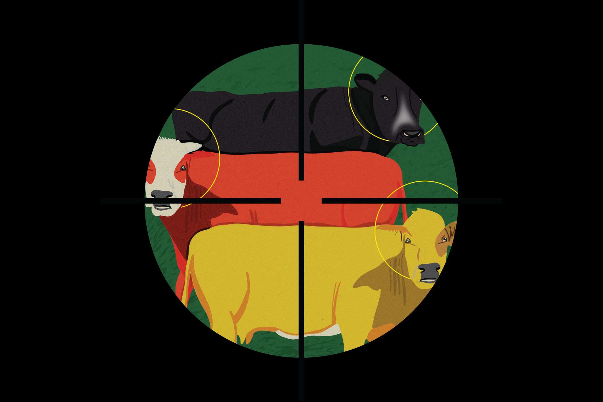 „Wider die heiligen Kühe“: Die Berliner Zeitung nimmt Tabus auseinander