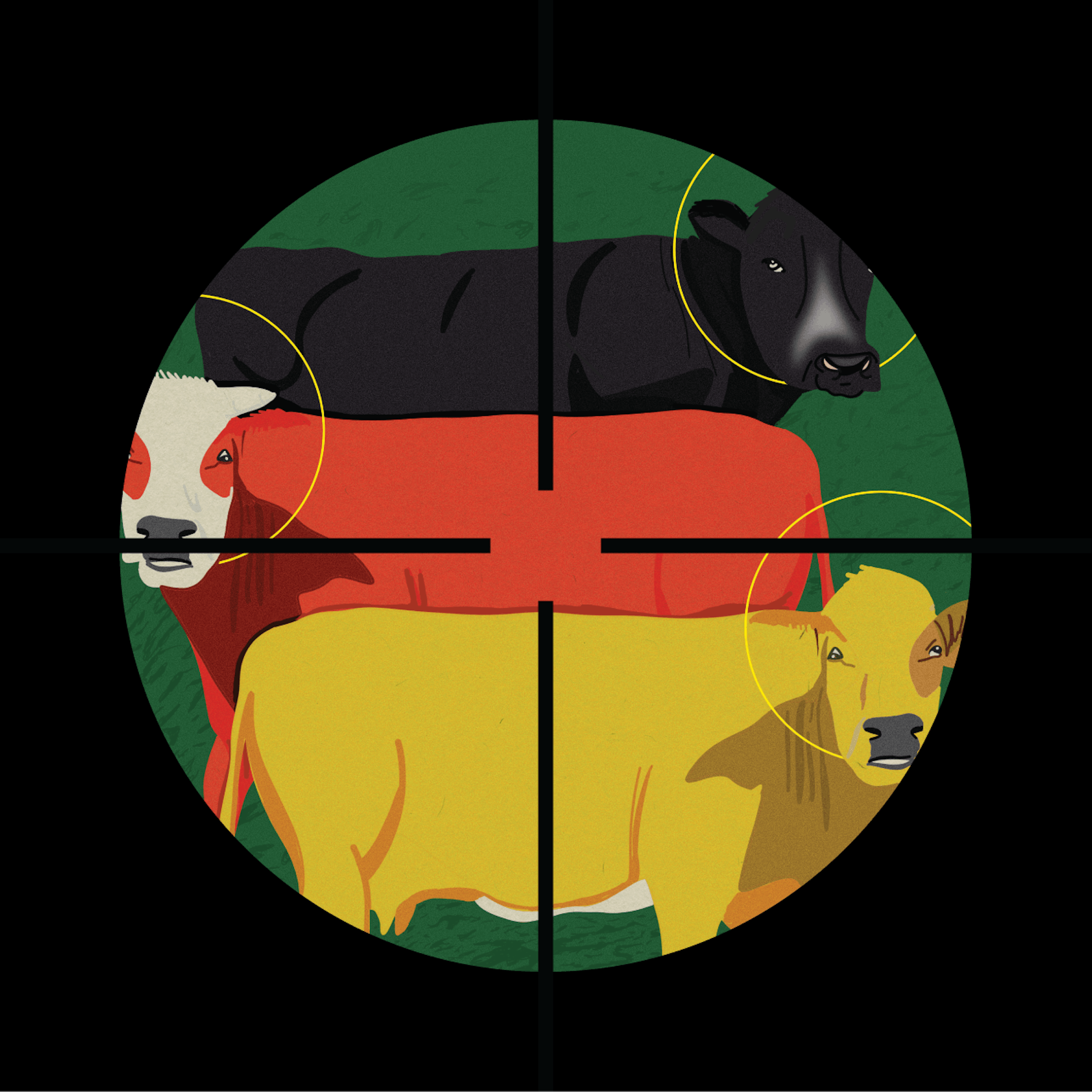 Image - „Wider die heiligen Kühe“: Die Berliner Zeitung nimmt Tabus auseinander