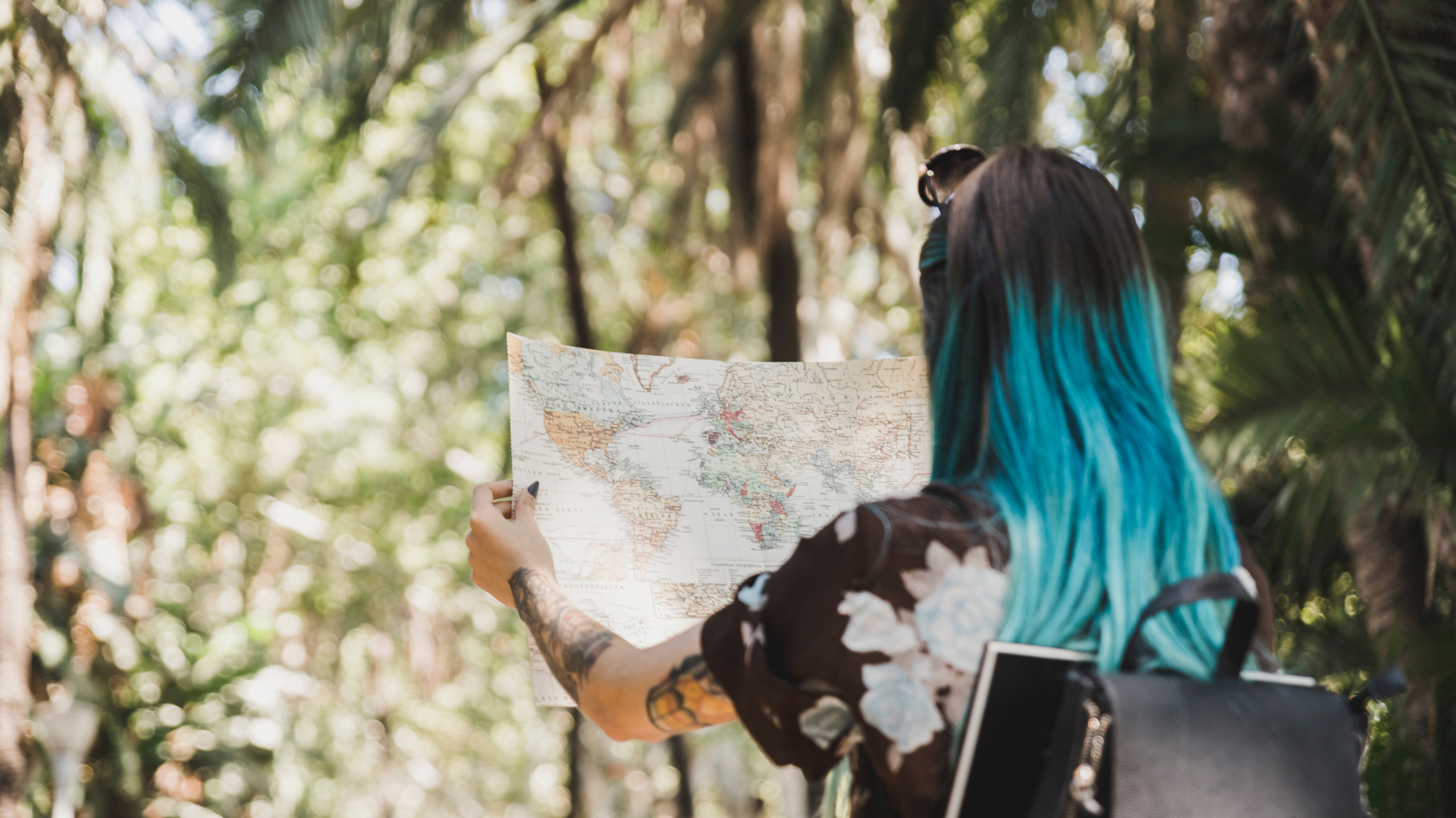 Artenschutz durch Tourismus: Eine neue Studie hinterfragt den Mythos vom „grünen Reisen“