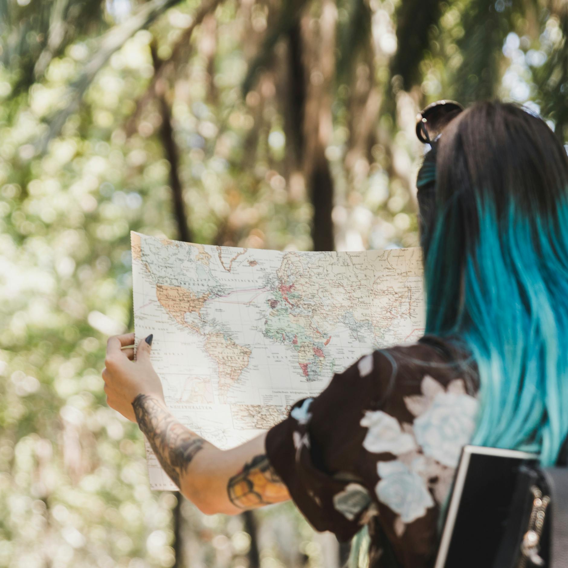 Image - Artenschutz durch Tourismus: Eine neue Studie hinterfragt den Mythos vom „grünen Reisen“