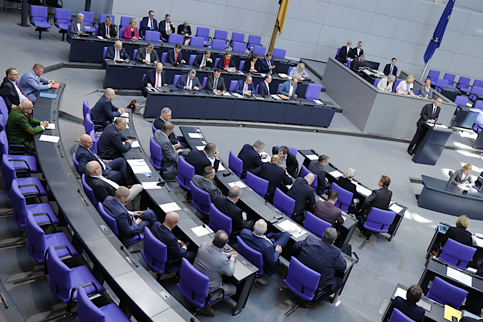 Die AfD-Fraktion im Bundestag
