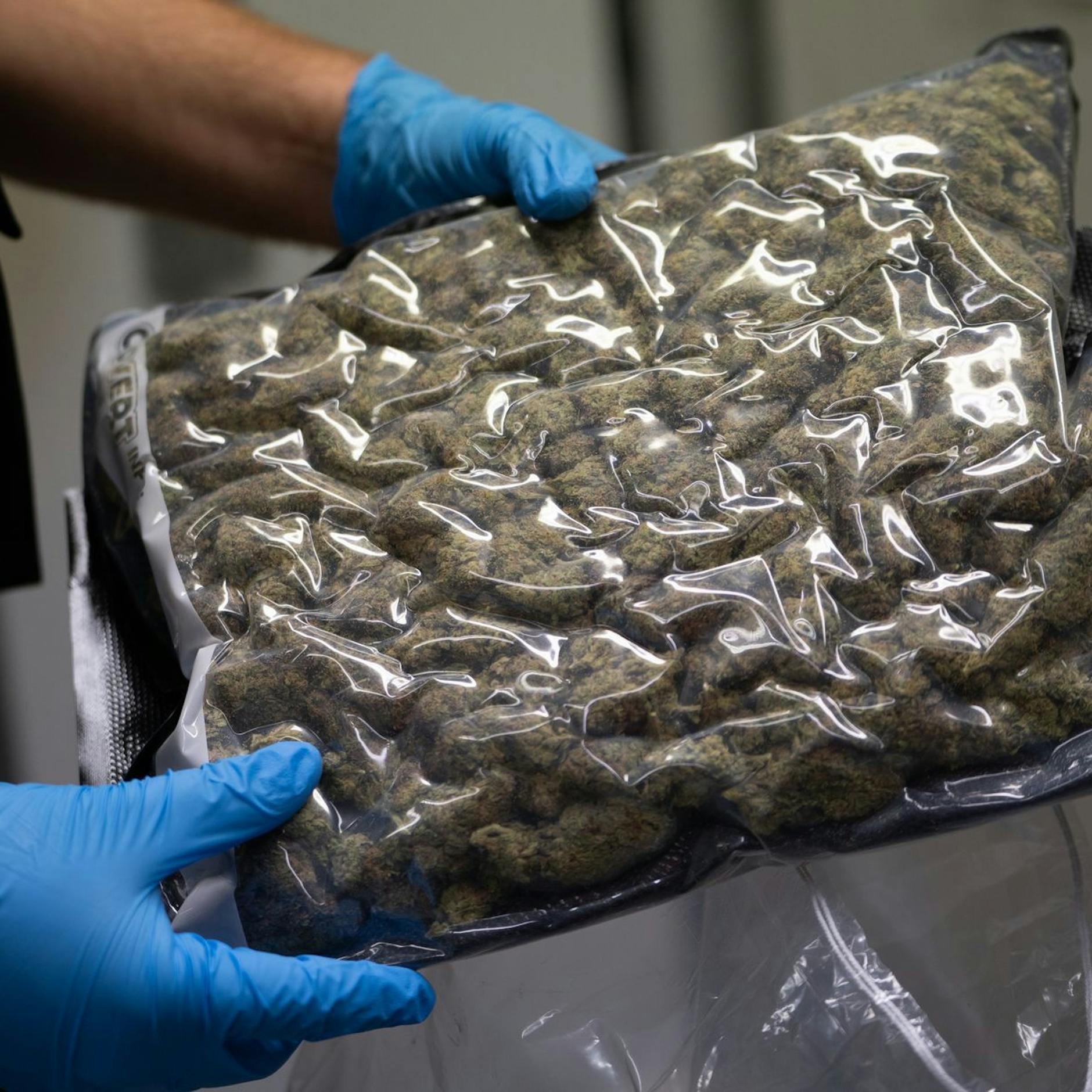 Image - Fahndungserfolg in Spandau: Was war zwischen den Kokosnüssen?