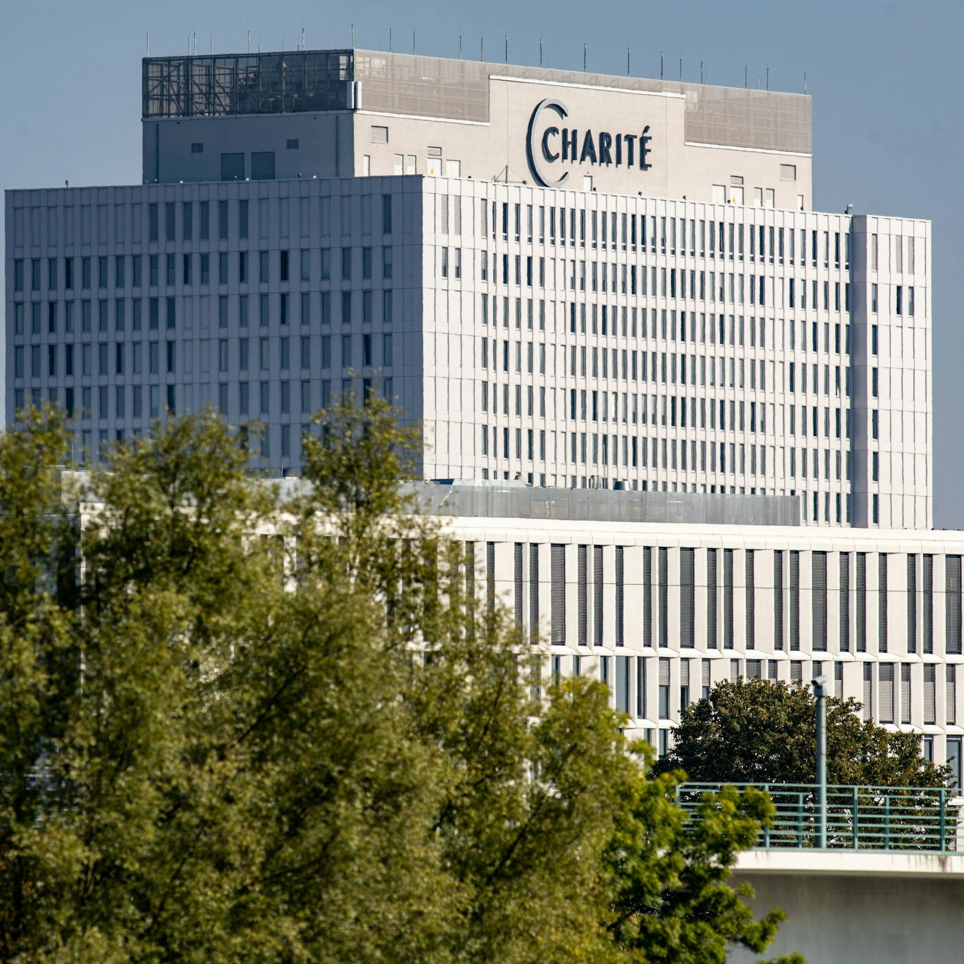 Image - Fünflinge an der Charité Berlin: So geht es Mutter und Kindern