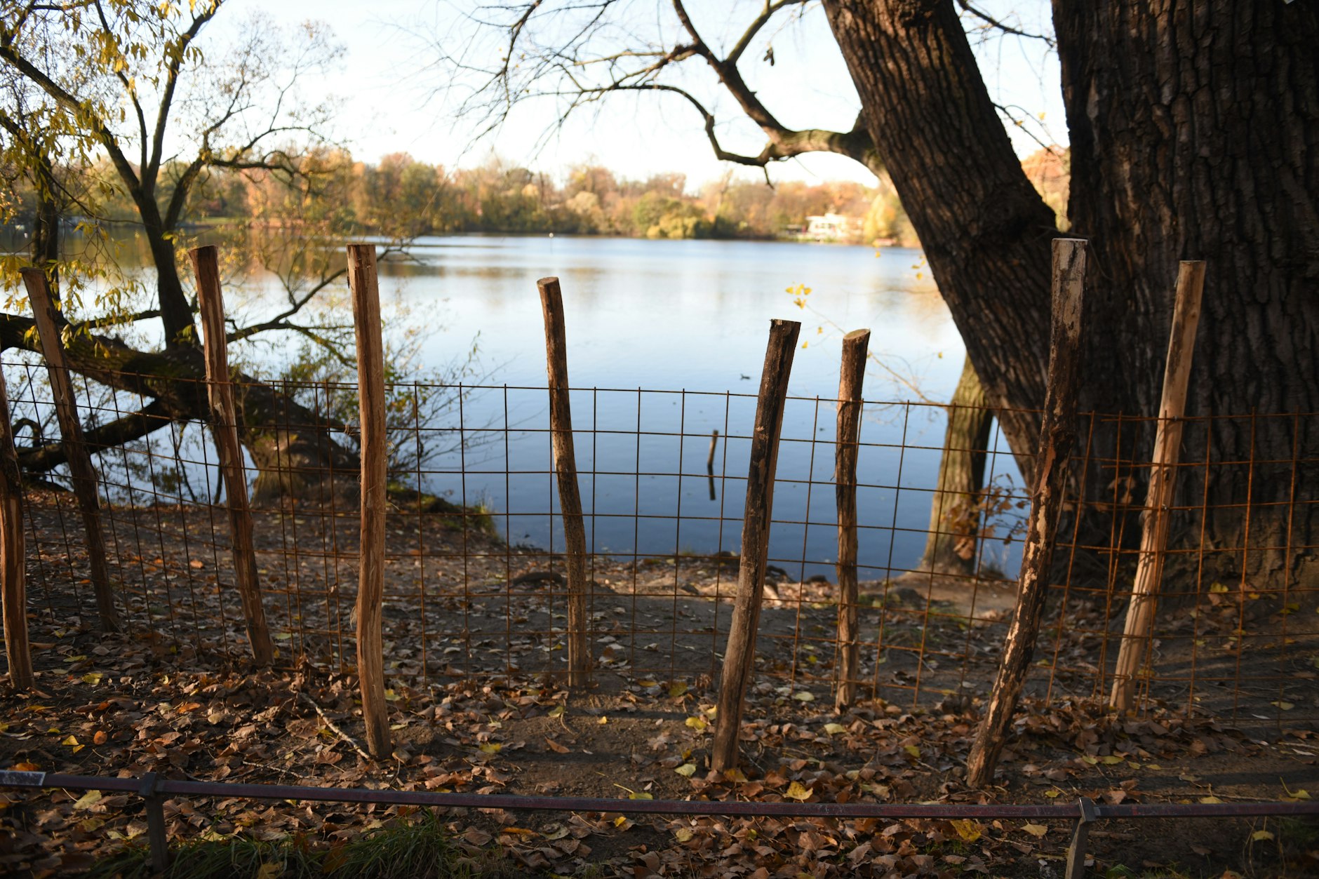 Holzpflöcke, Metallgitter und Totholz bilden bald eine unüberwindliche Barriere um de See.