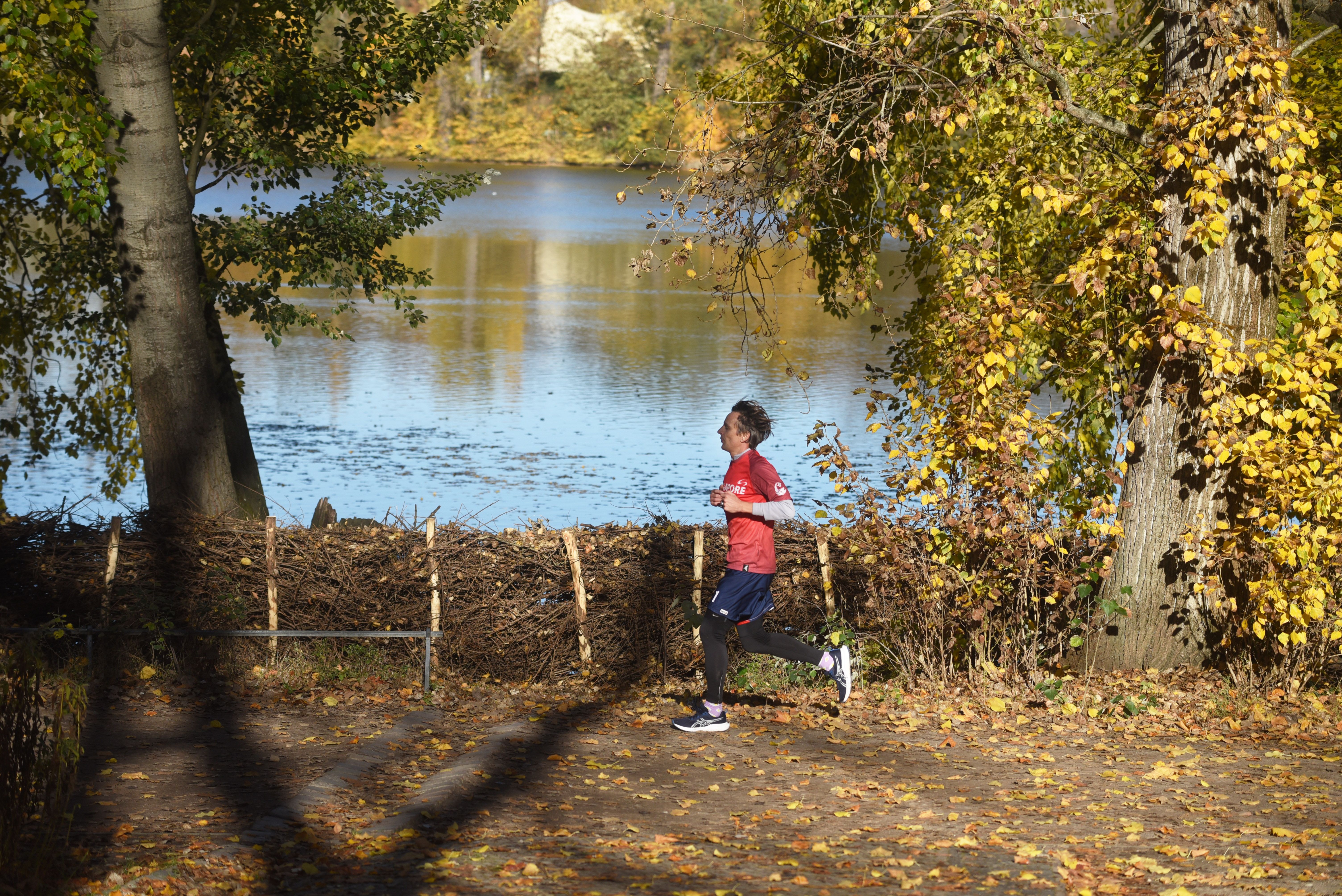 Image - Niemand hat die Absicht eine Mauer zu bauen - Doch, in Weißensee