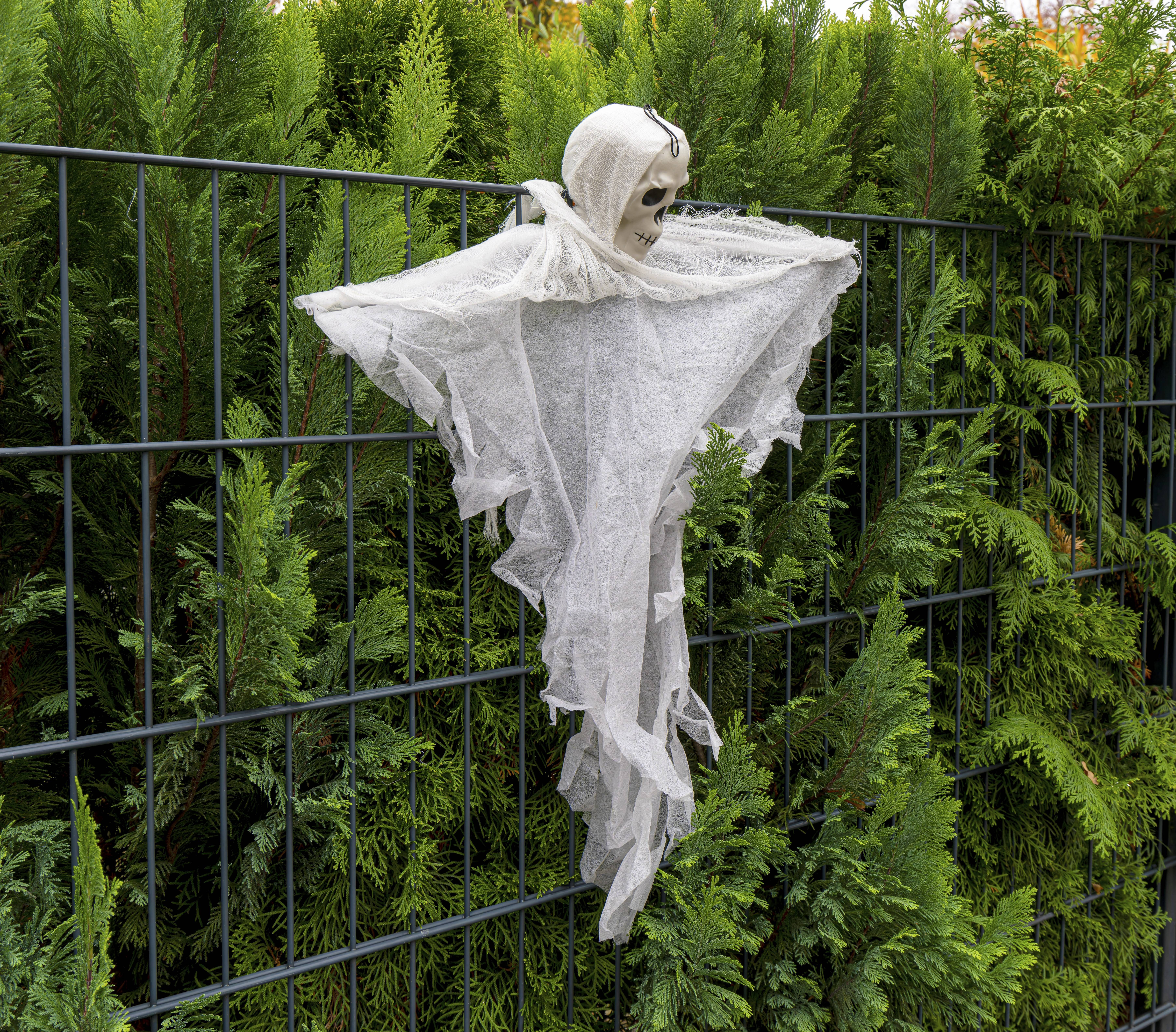 Image - Halloween-Bilanz der Polizei: Wie viele Eier sind in Berlin geflogen?