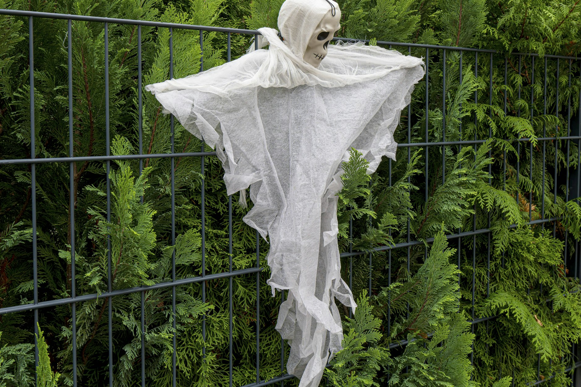 Halloween-Deko in Berlin. Das sonst so wilde Fest verlief in diesem Jahr in der Hauptstadt verhältnismäßig friedlich!