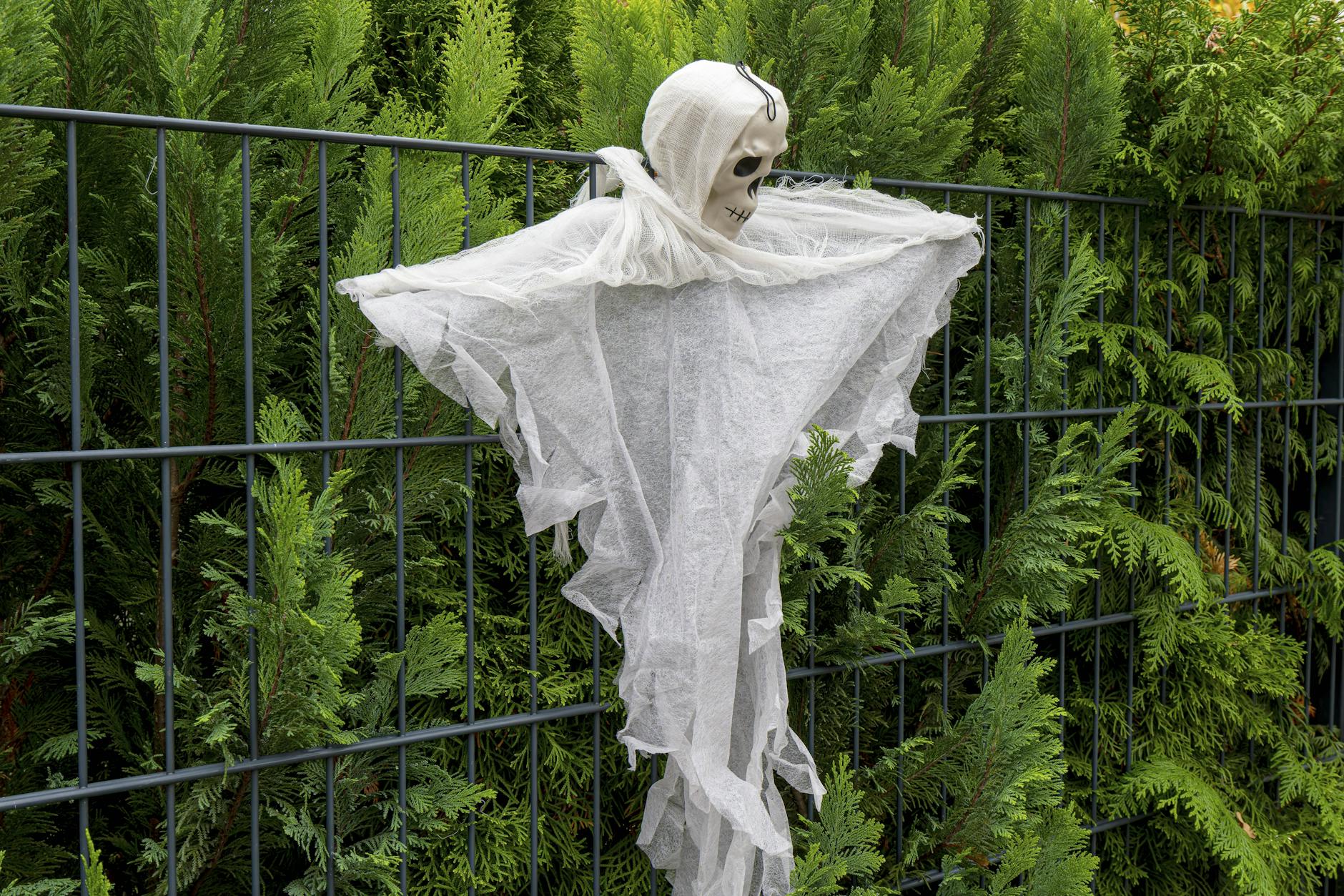 Halloween-Bilanz der Polizei: Wie viele Eier sind in Berlin geflogen?