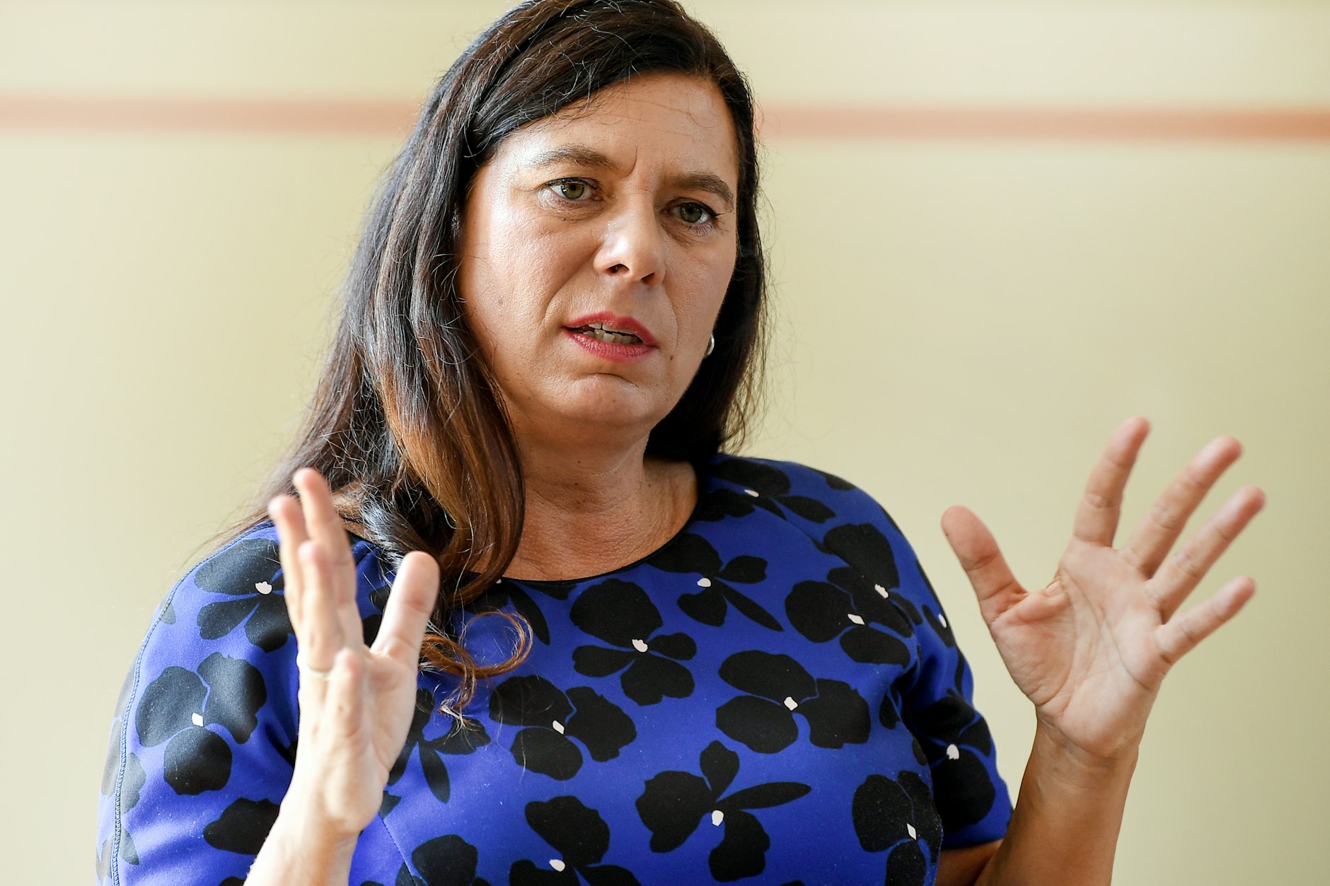 У катастрофы есть имя: Сандра Шерес (СДПГ), бывший берлинский сенатор по вопросам образования, выступает в начальной школе Нюртингена в Кройцберге.