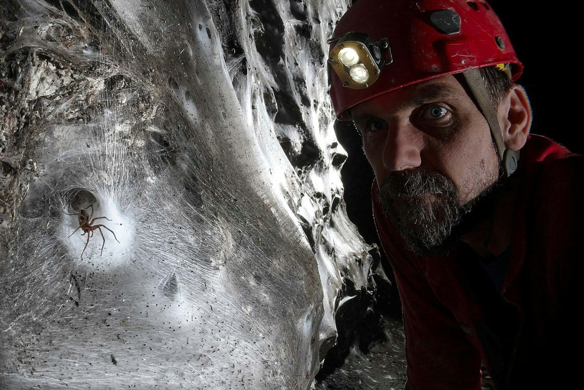 Das größte Spinnennetz der Welt befindet sich in einer Höhle mit unwirklichen Bedingungen.