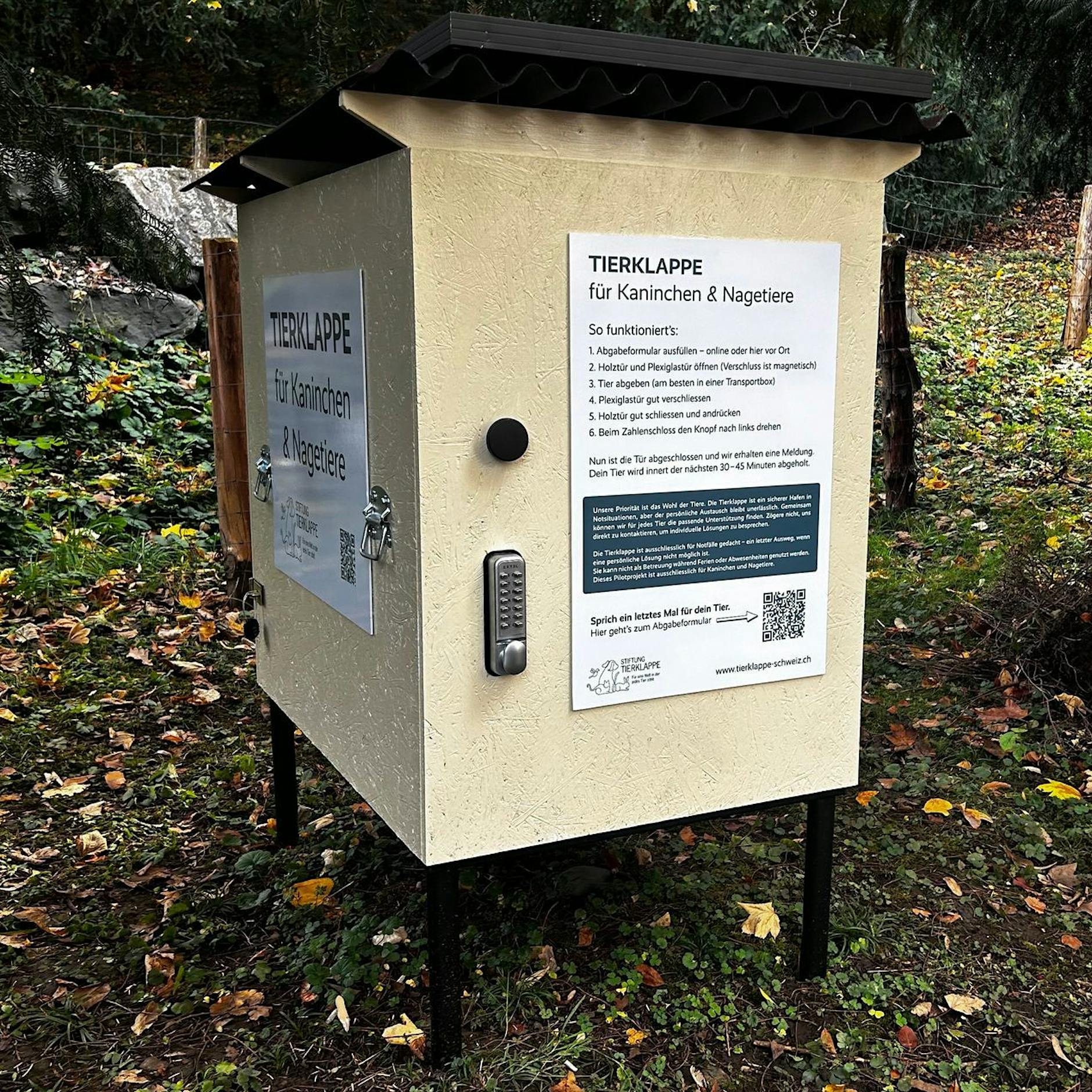 Doofe oder gute Idee? Streit um erste Tierklappe für Haustiere