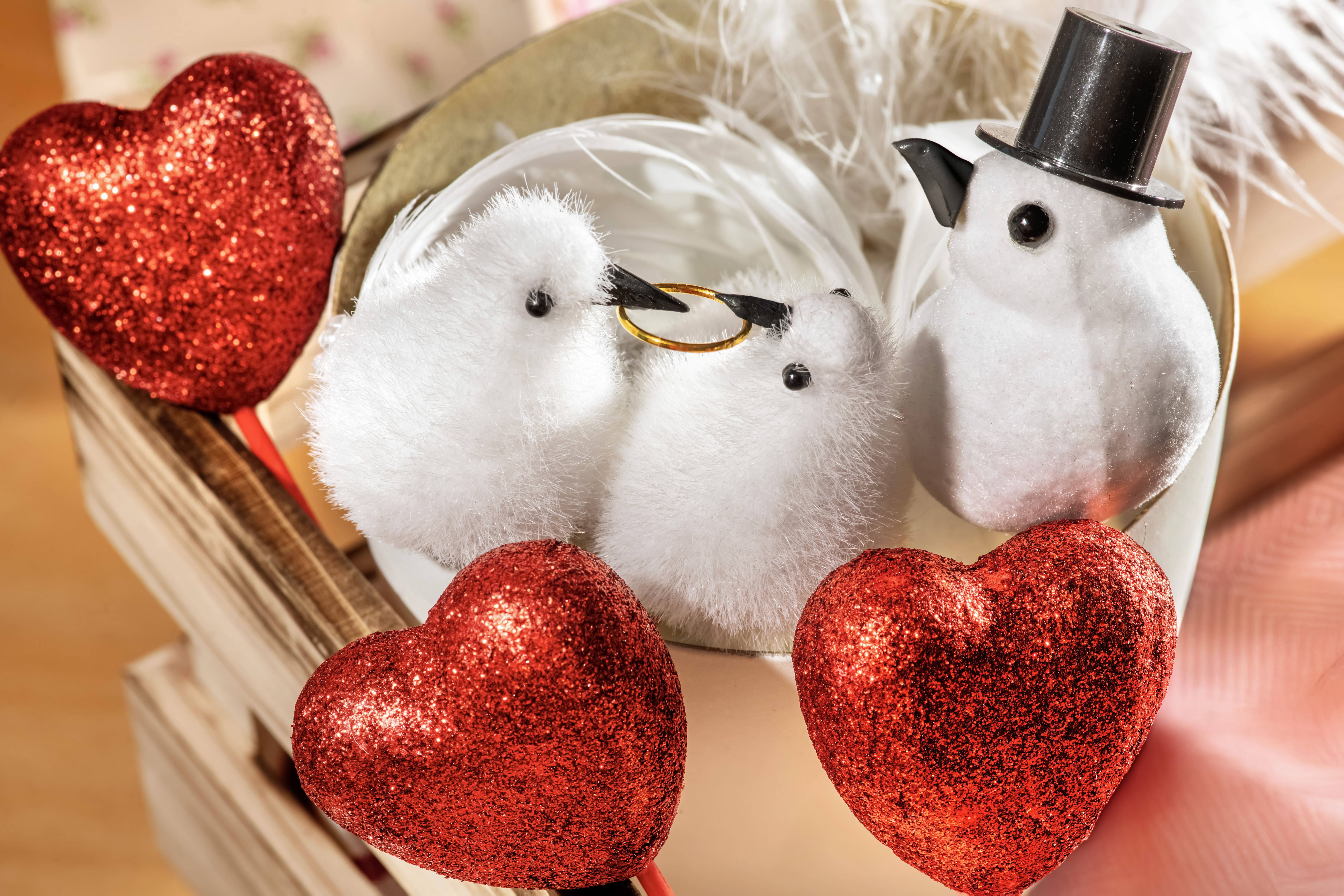 Image - „Polyhochzeit“ in Berlin: Pfarrerin verheiratet vier Männer miteinander!