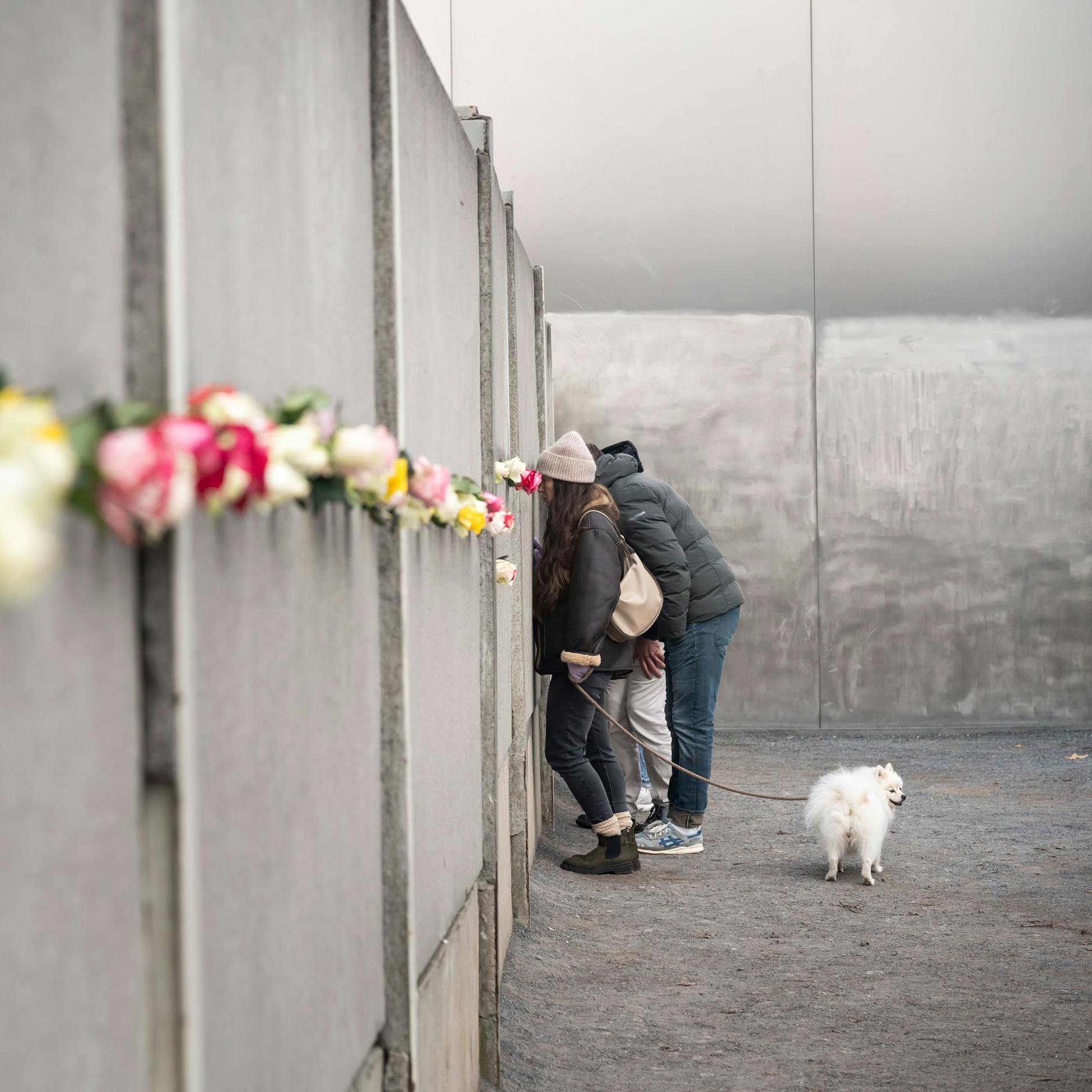 Image - Mauerfall: Warum wird der schönste Tag der jüngeren Geschichte nicht richtig gefeiert?