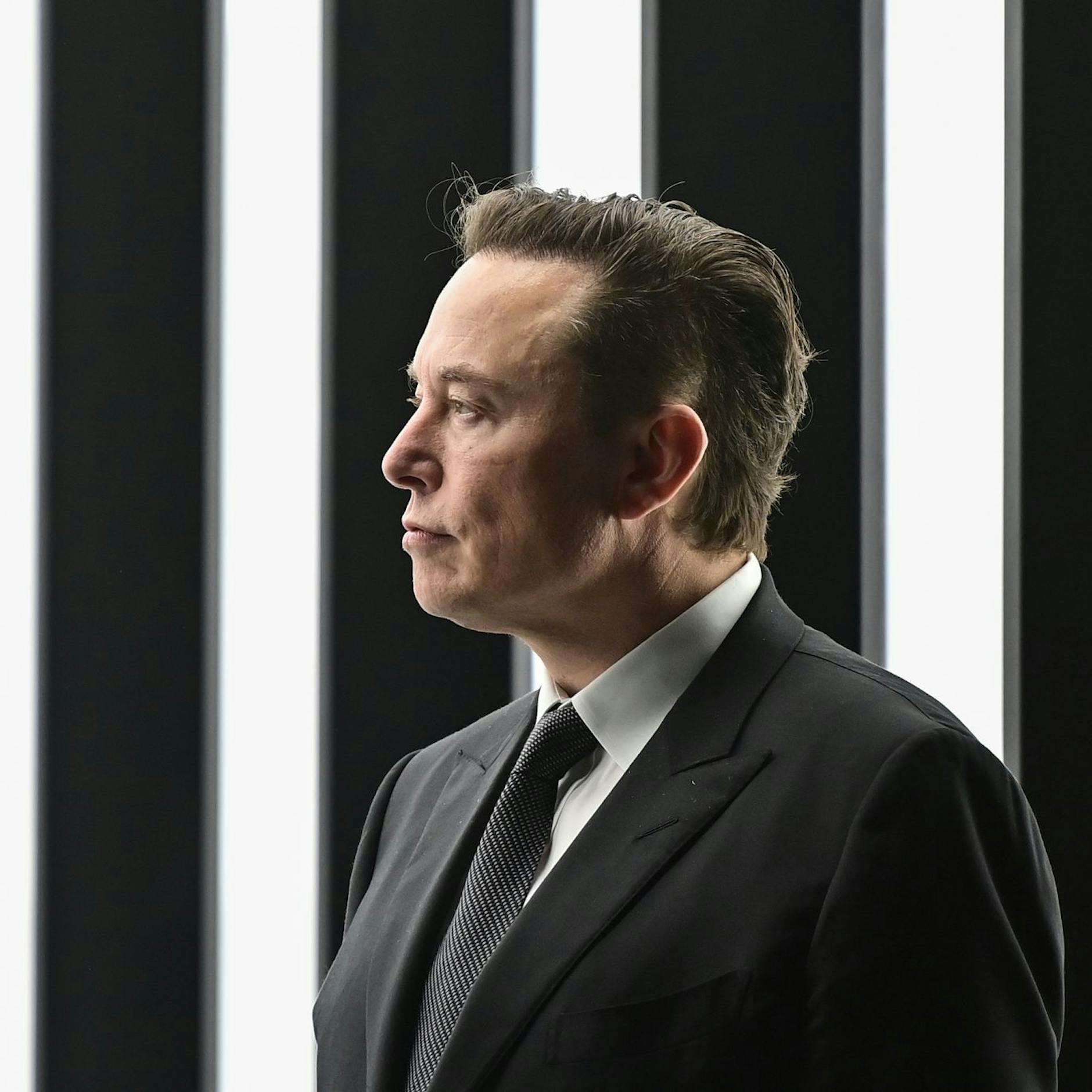 Image - Ärger mit den Erben – wer bekommt das Vermögen von Elon Musk und Niki Lauda?