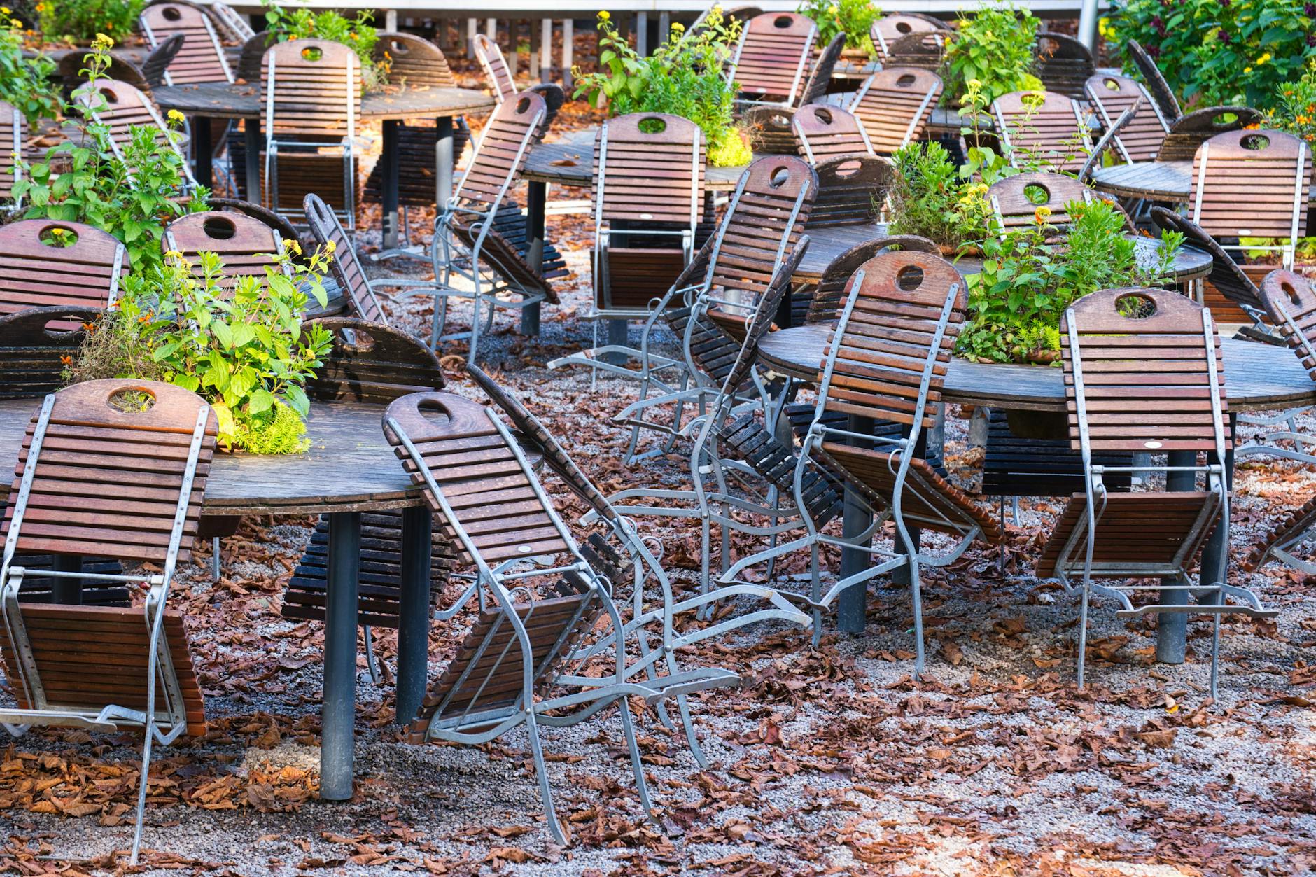 Das Restaurant „Luise“ in Dahlem wird zum Jahresende schließen. (Symbolbild)