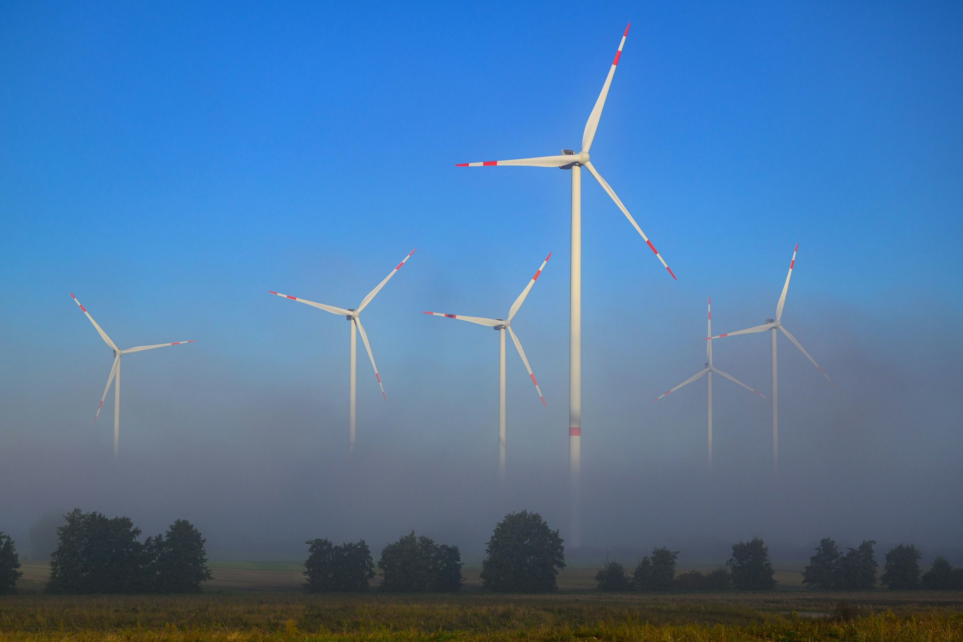 Windräder im Wald sind umstritten, vor allem in Brandenburg, wo pro Quadratmeter mehr Windräder stehen als im Rest der Republik.
