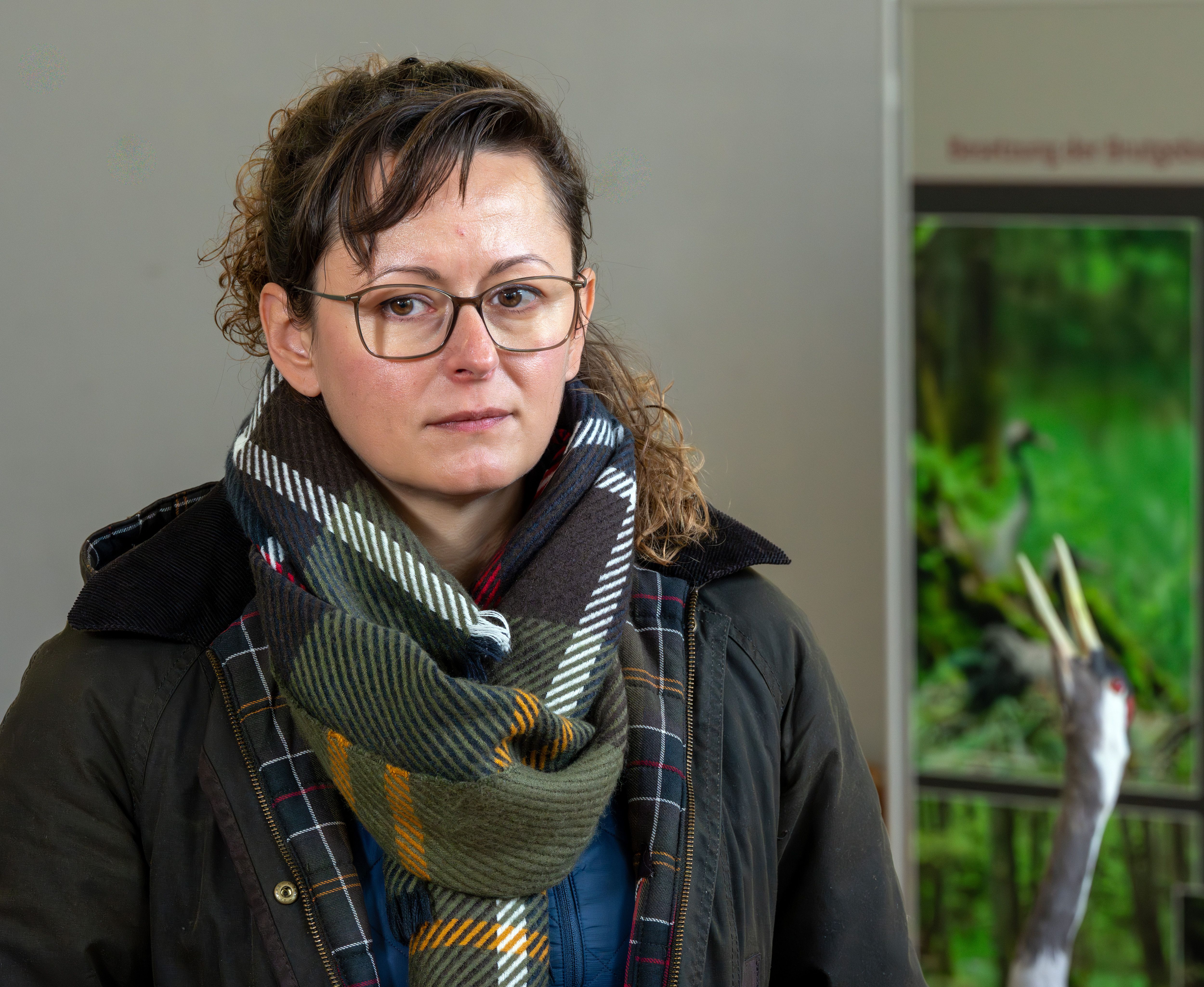 „Notwendig für den Artenschutz“: Brandenburgs Ministerin verteidigt mögliche Wolfsjagd