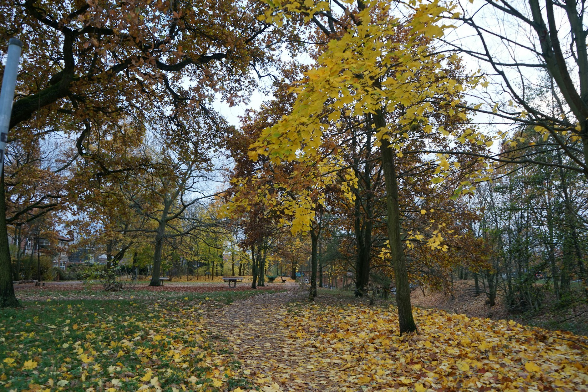 Marzahn soll bald noch grüner werden – durch einen sogenannten Tiny Forest.