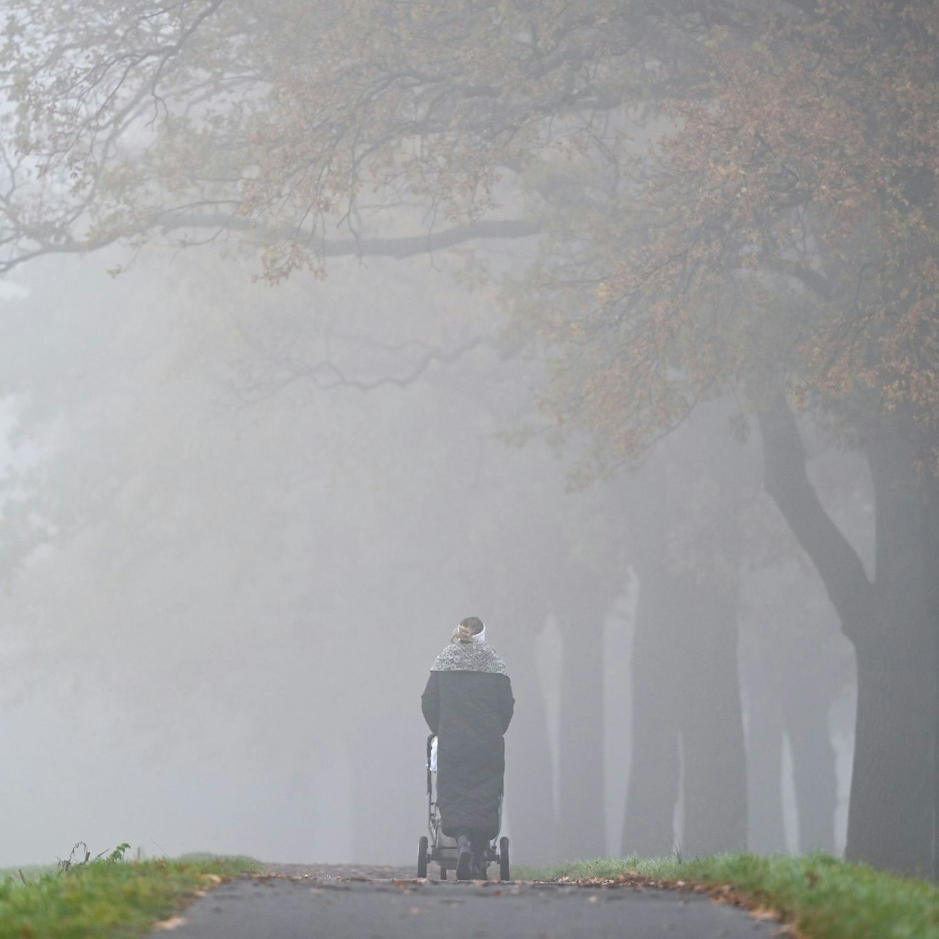 Image - Berlin und Brandenburg: So wird das Wetter in den nächsten Tagen