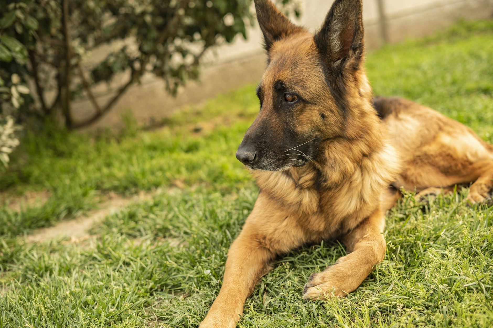 Manchmal versteht man die Welt nicht mehr.