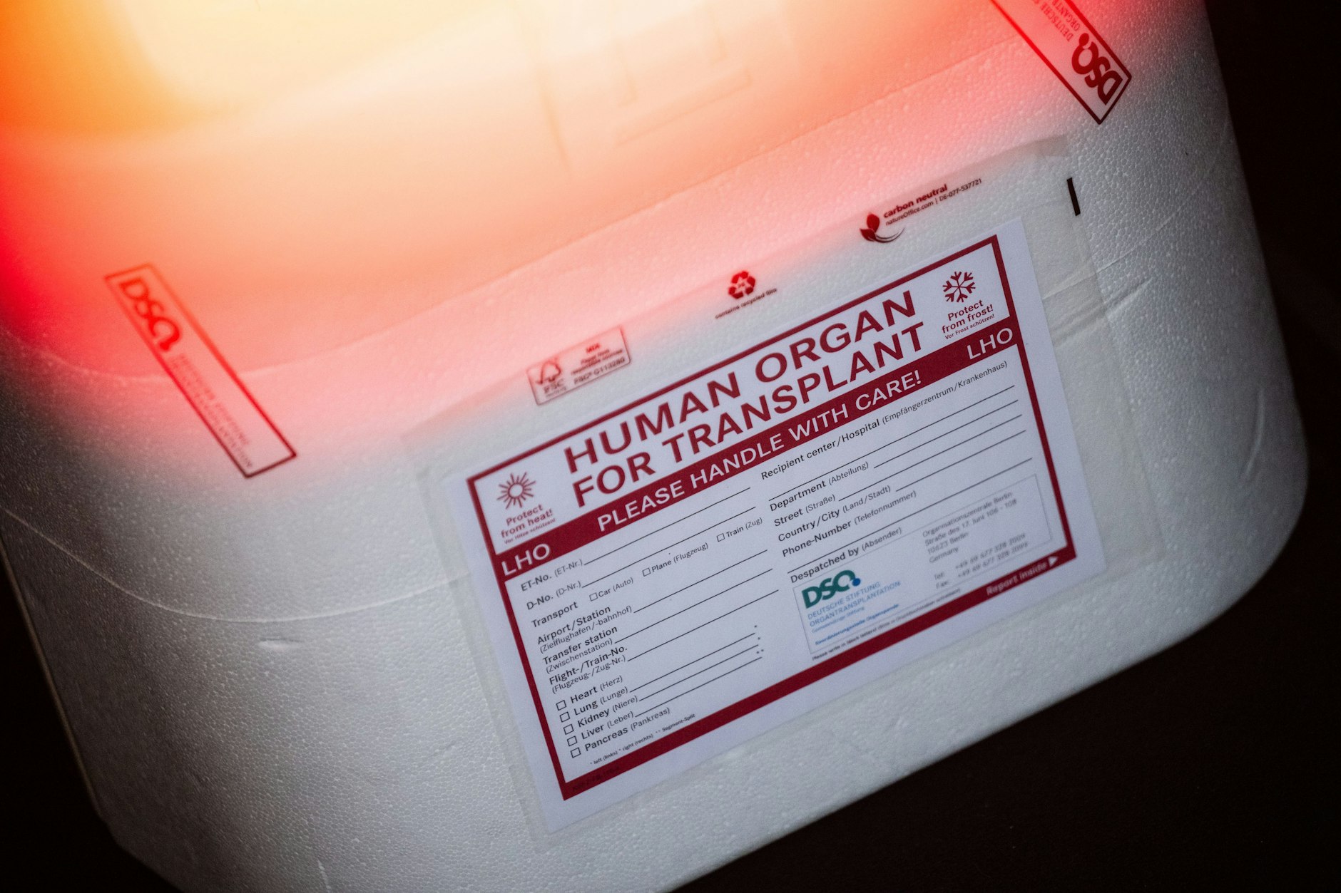 Eine Kühlbox für eine Organspende steht in einem Transporter des Deutschen Roten Kreuzes.