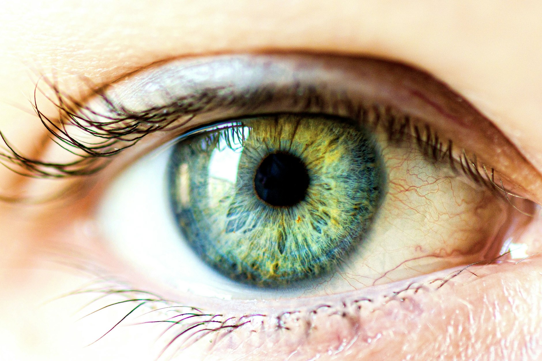 Green Human eye. macro shooting