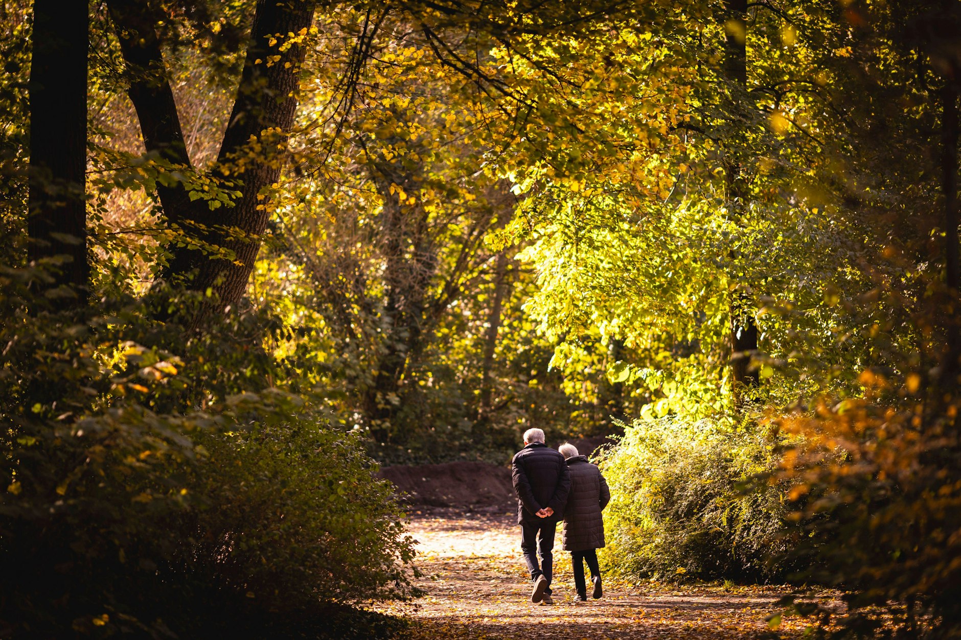 Der wichtigste Renten-Reformschritt ist die Beteiligung der Sparer am Kapitalmarkt und die steuerliche Unterstützung vom Staat.