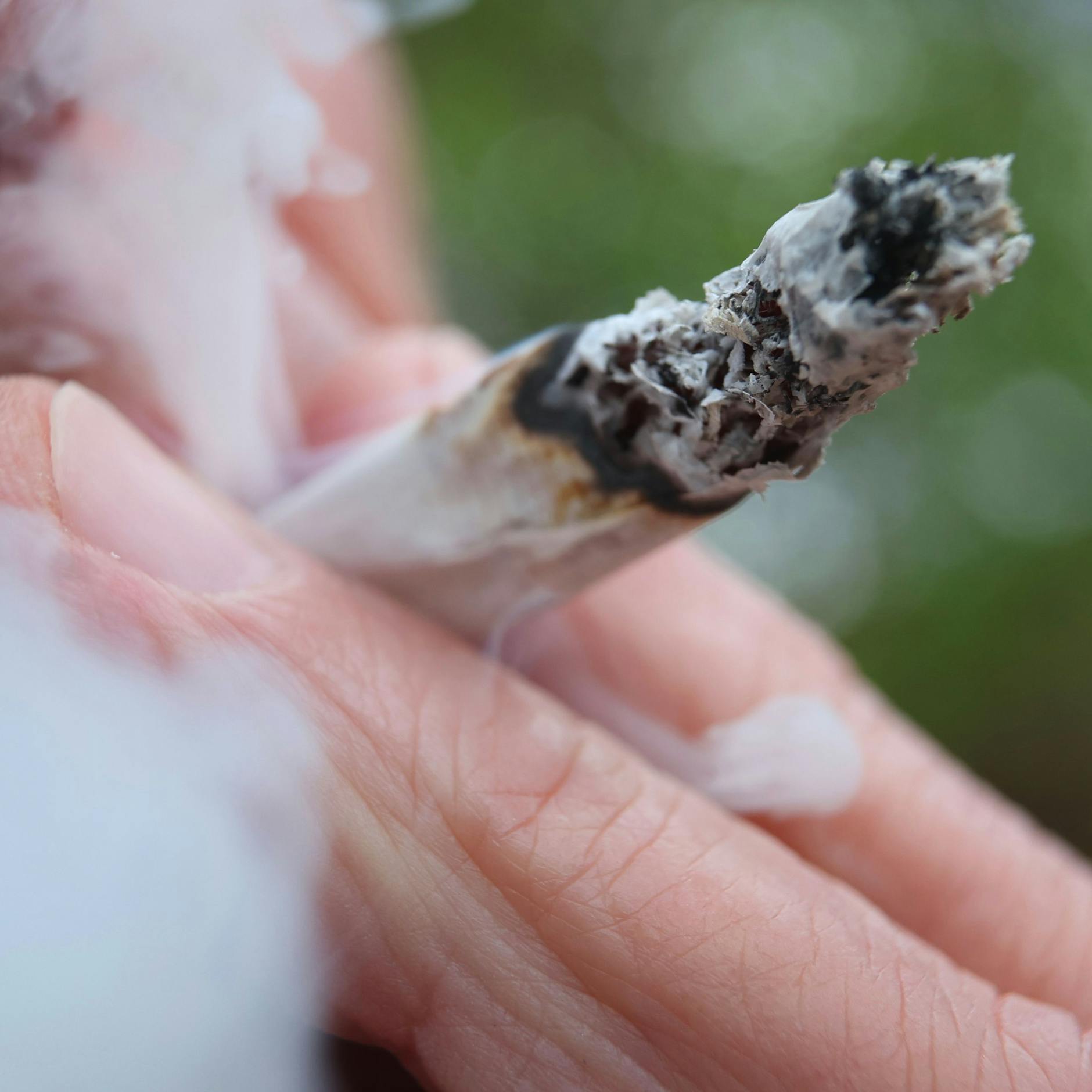 Image - Cannabiskonsum in Deutschland steigt nach Teillegalisierung weiter