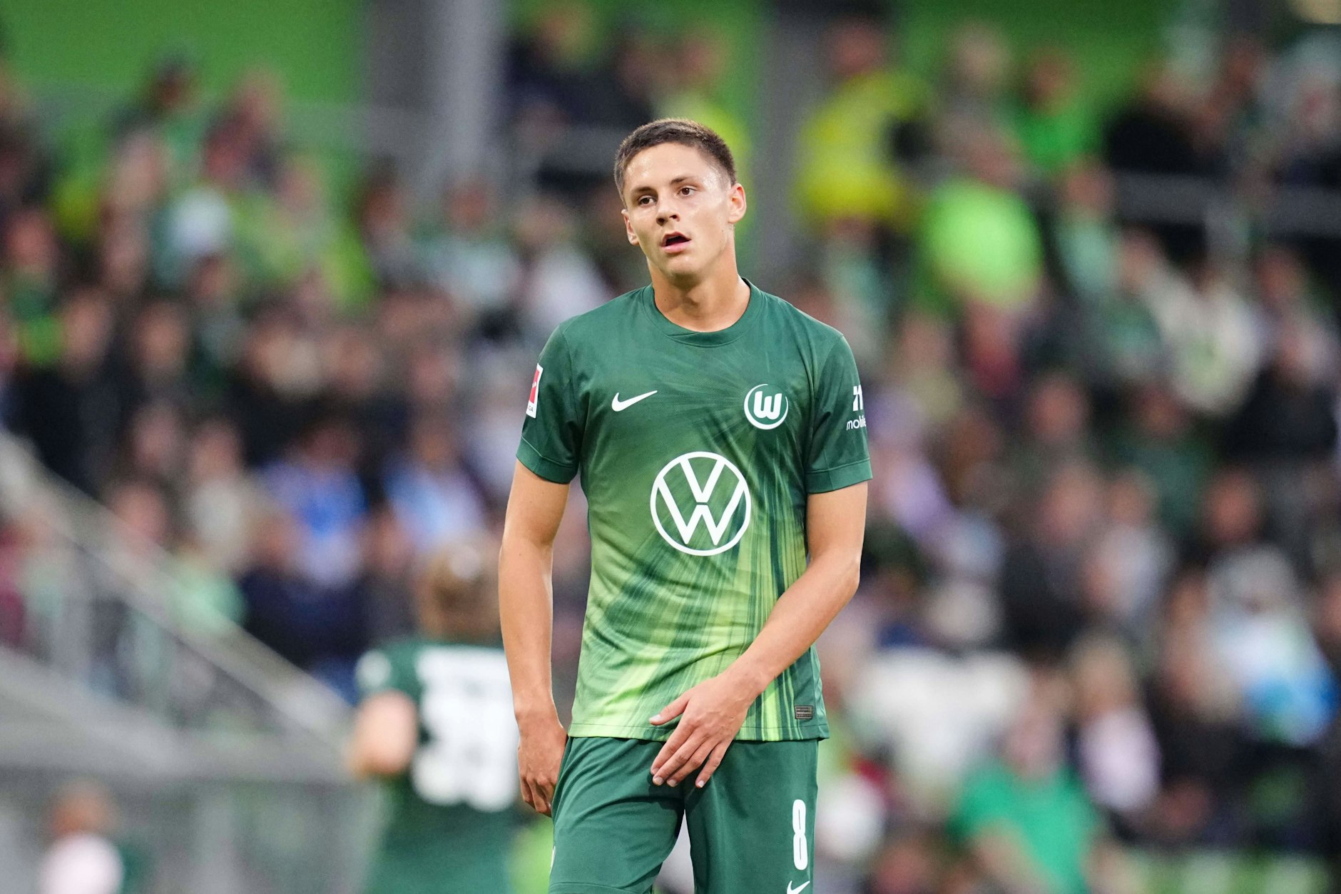 Ex-Herthaner Bence Dardai hat gerade keine gute Zeit. Bei seinem Klub VfL Wolfsburg ist das komplette Chaos ausgebrochen.