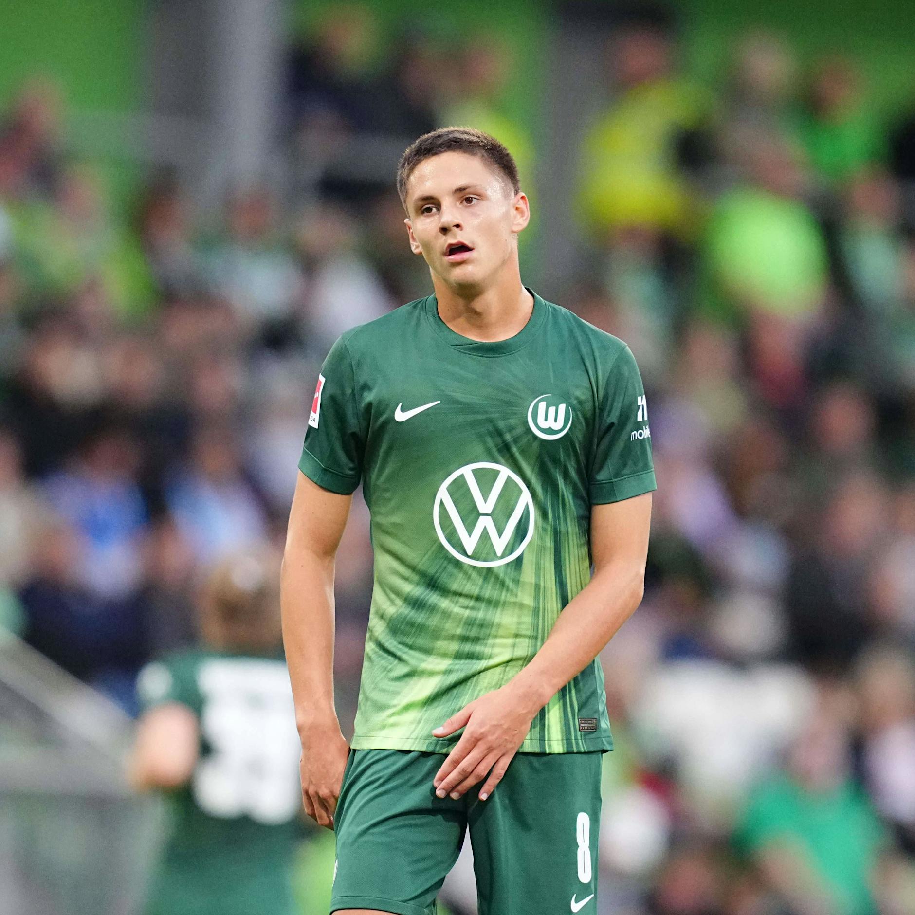 Bence Dardai im Wolfsburg-Chaos – Trainer und Sportdirektor weg