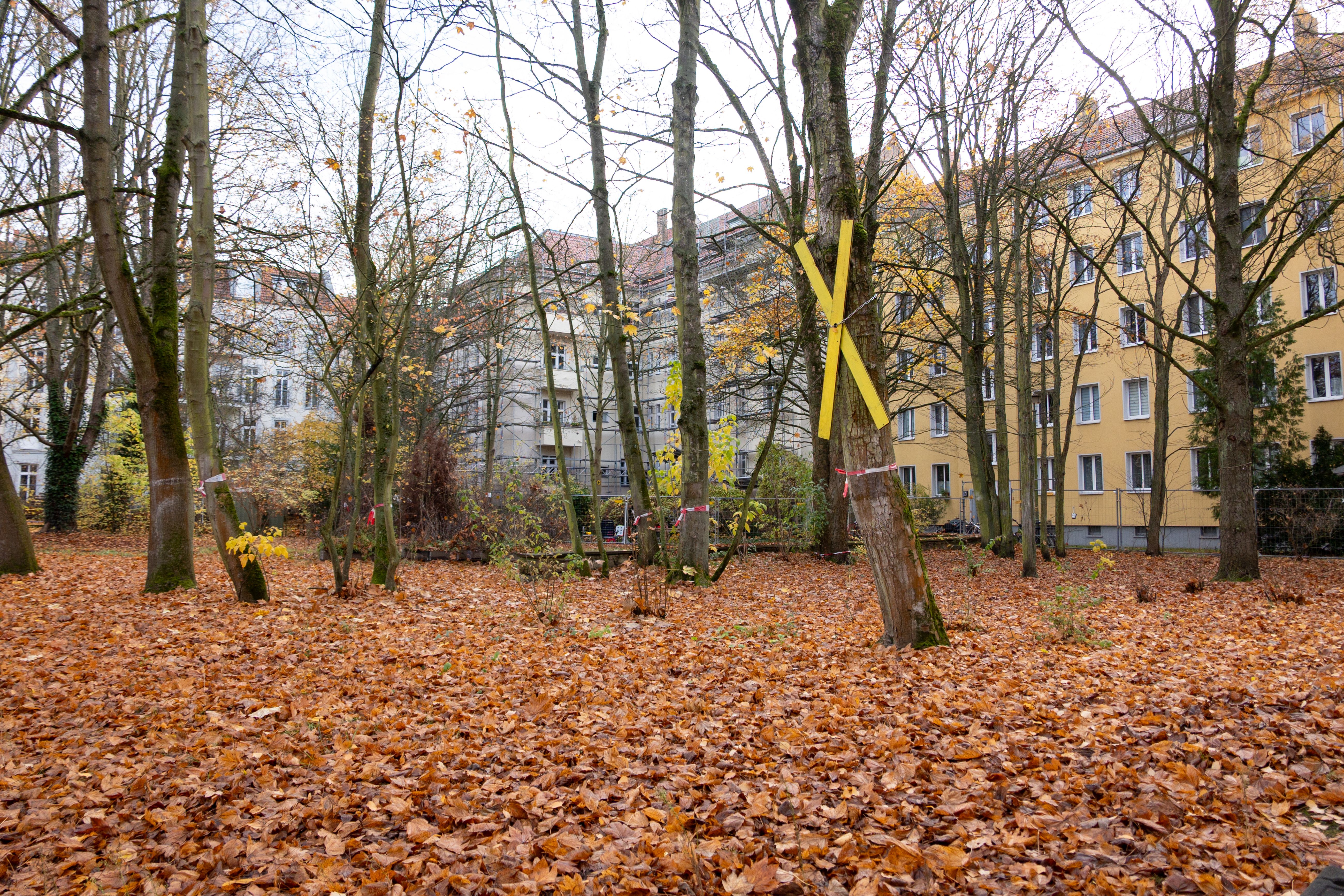 Image - Grüner Kiez in Pankow: Migrantensprecher nennen Gesobau-Vorhaben „Menschenzoo“