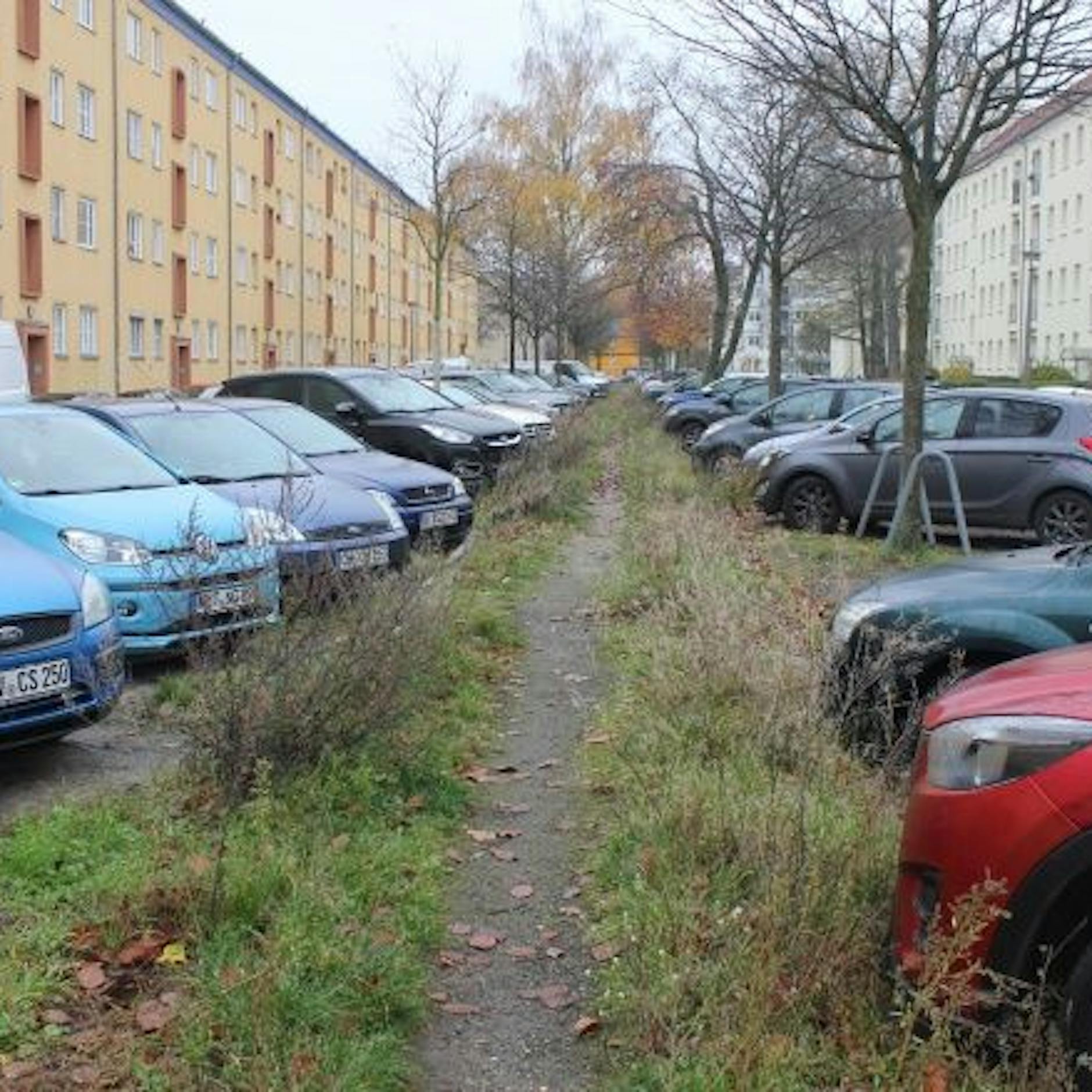 200 Parkplätze weg, Anwohner-Wut auf Grüne in Alt-Hohenschönhausen